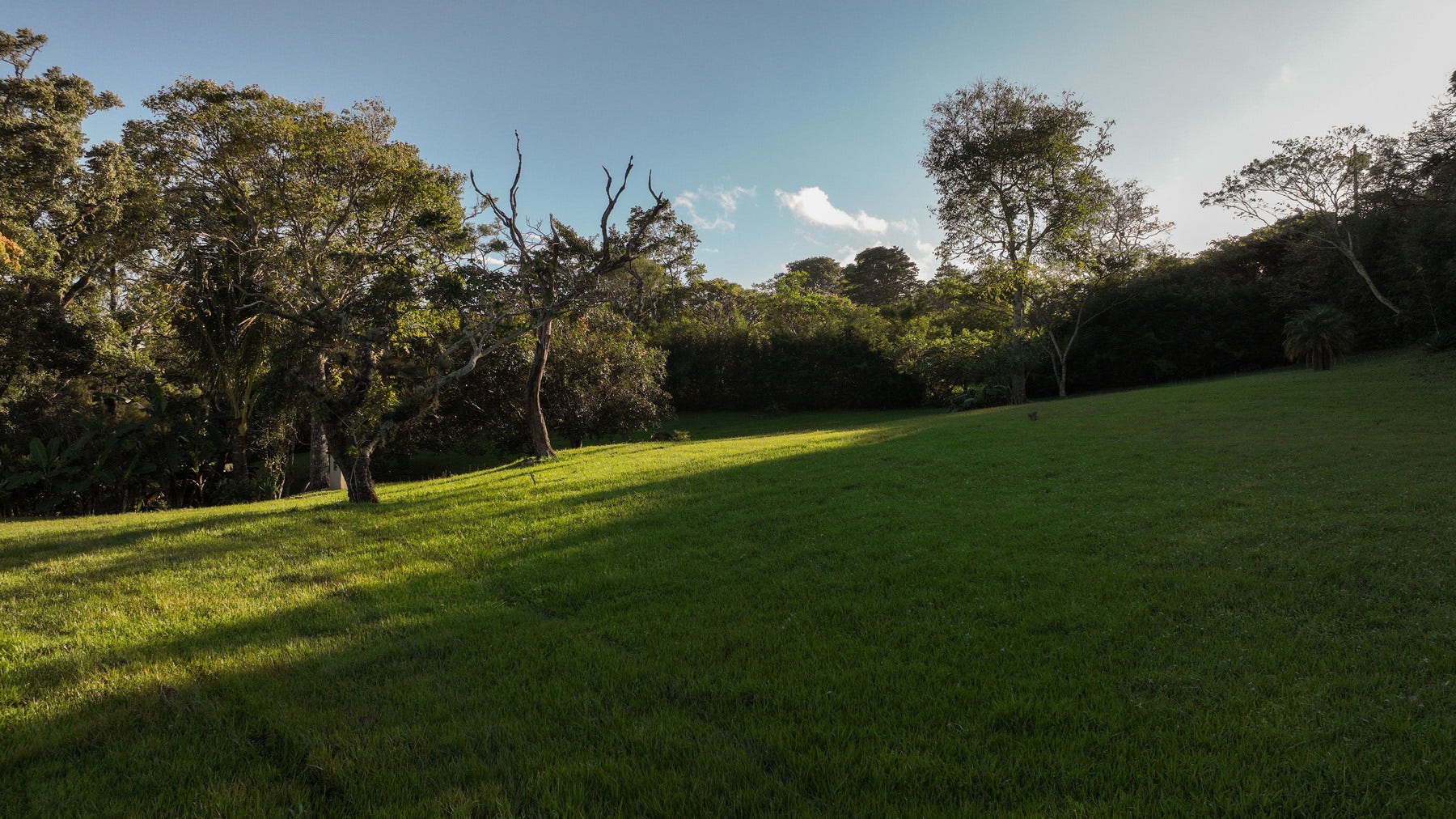 Panoramic Estate Land — photo 8 of 10
