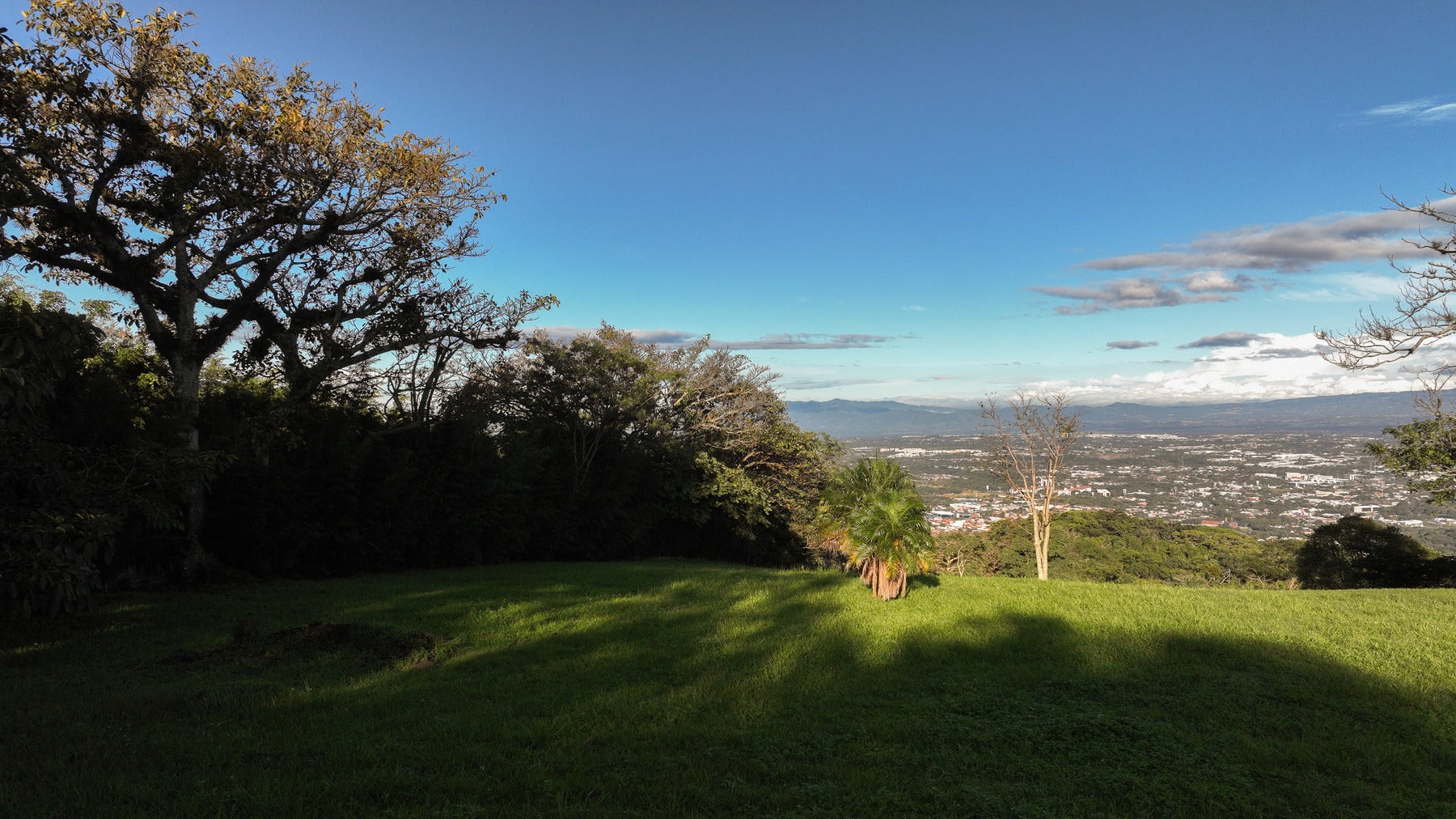 Panoramic Estate Land — photo 9 of 10