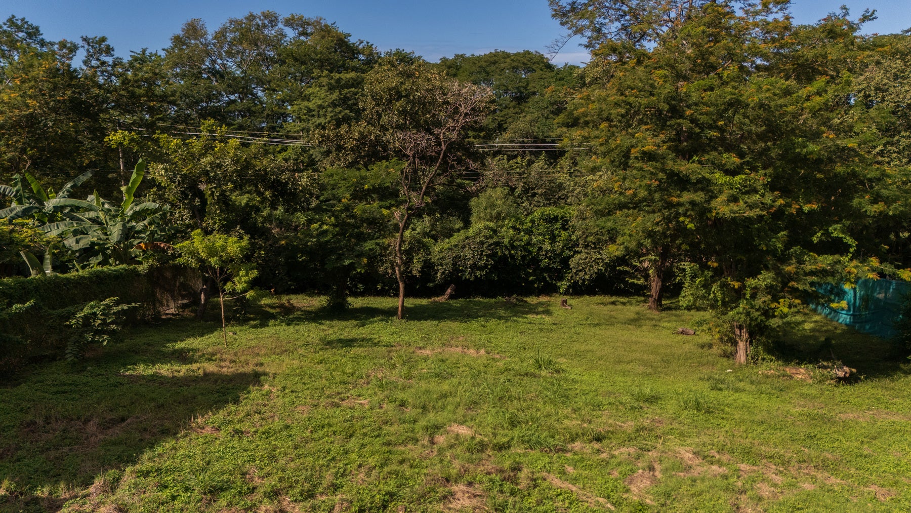 Prime Lot Close to The Beach — photo 16 of 19