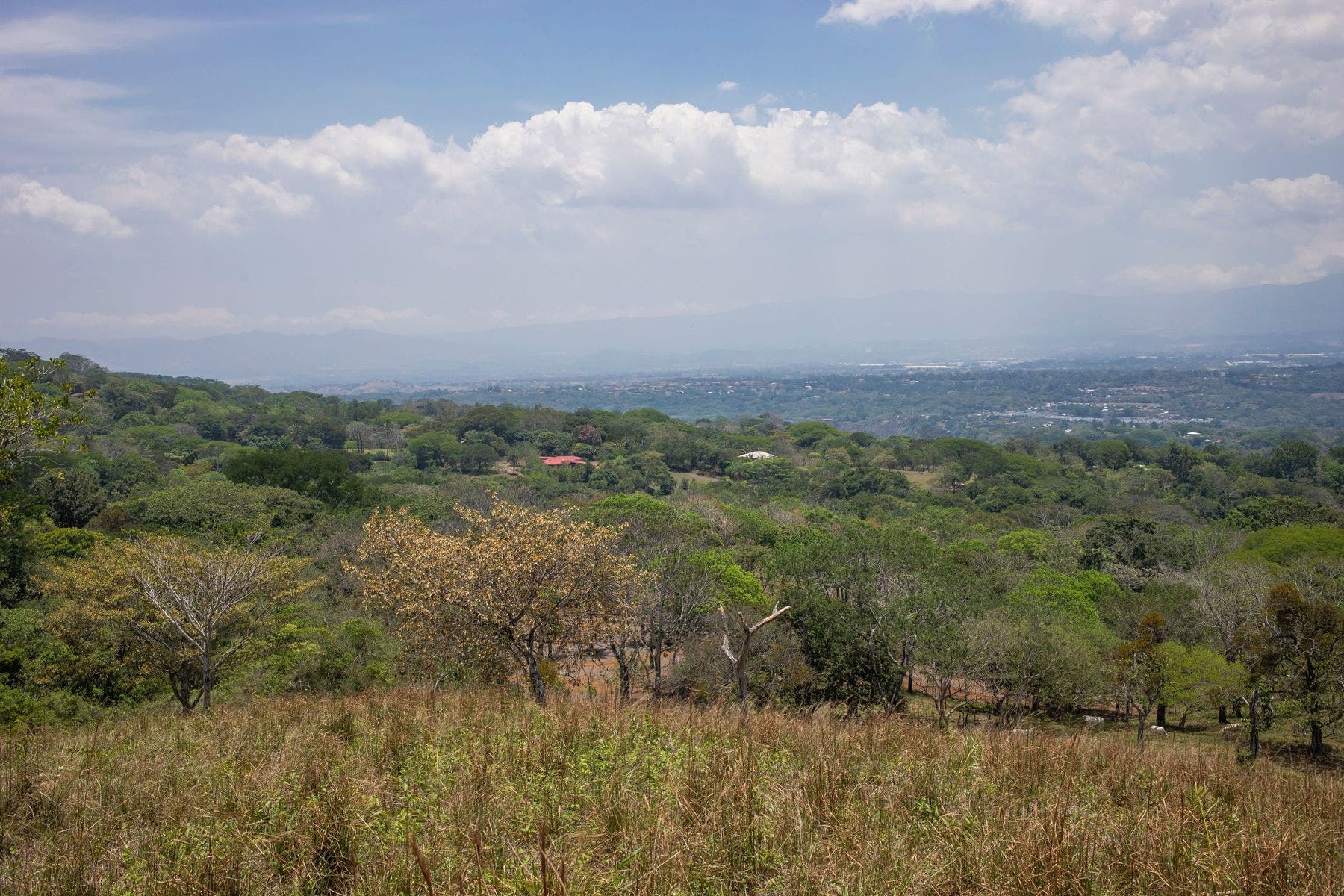 Vista Del Valle — photo 4 of 16