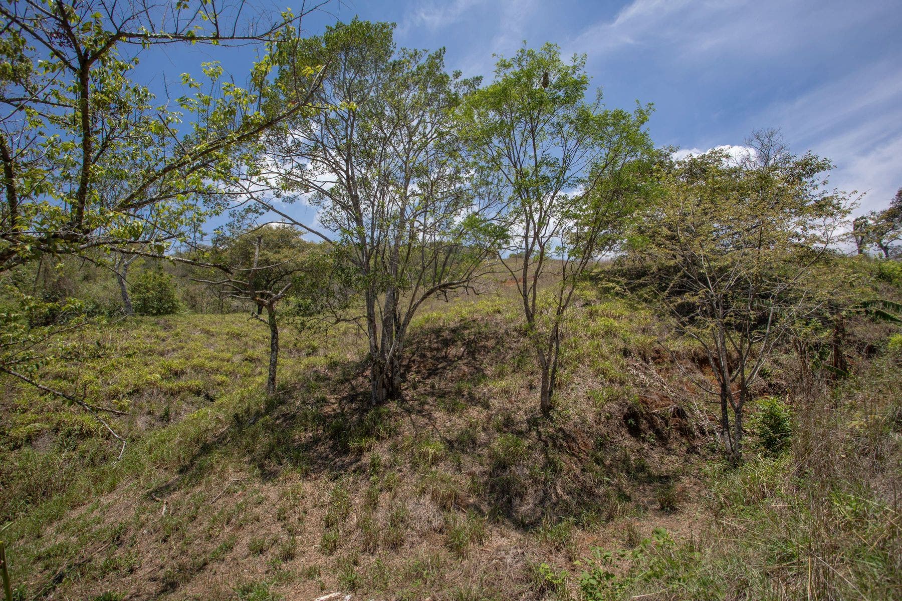 Vista Del Valle — photo 7 of 16