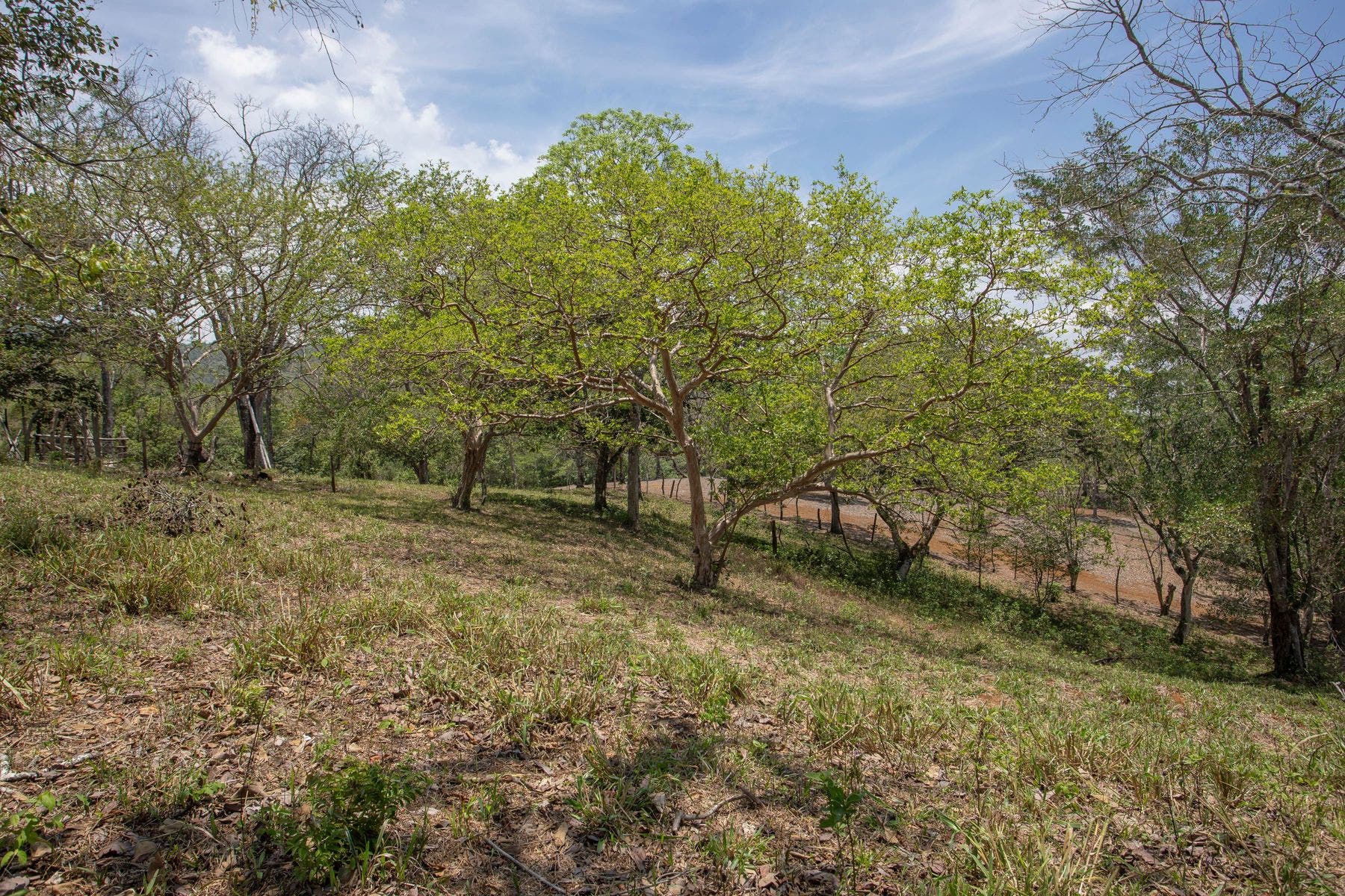 Vista Del Valle — photo 11 of 16