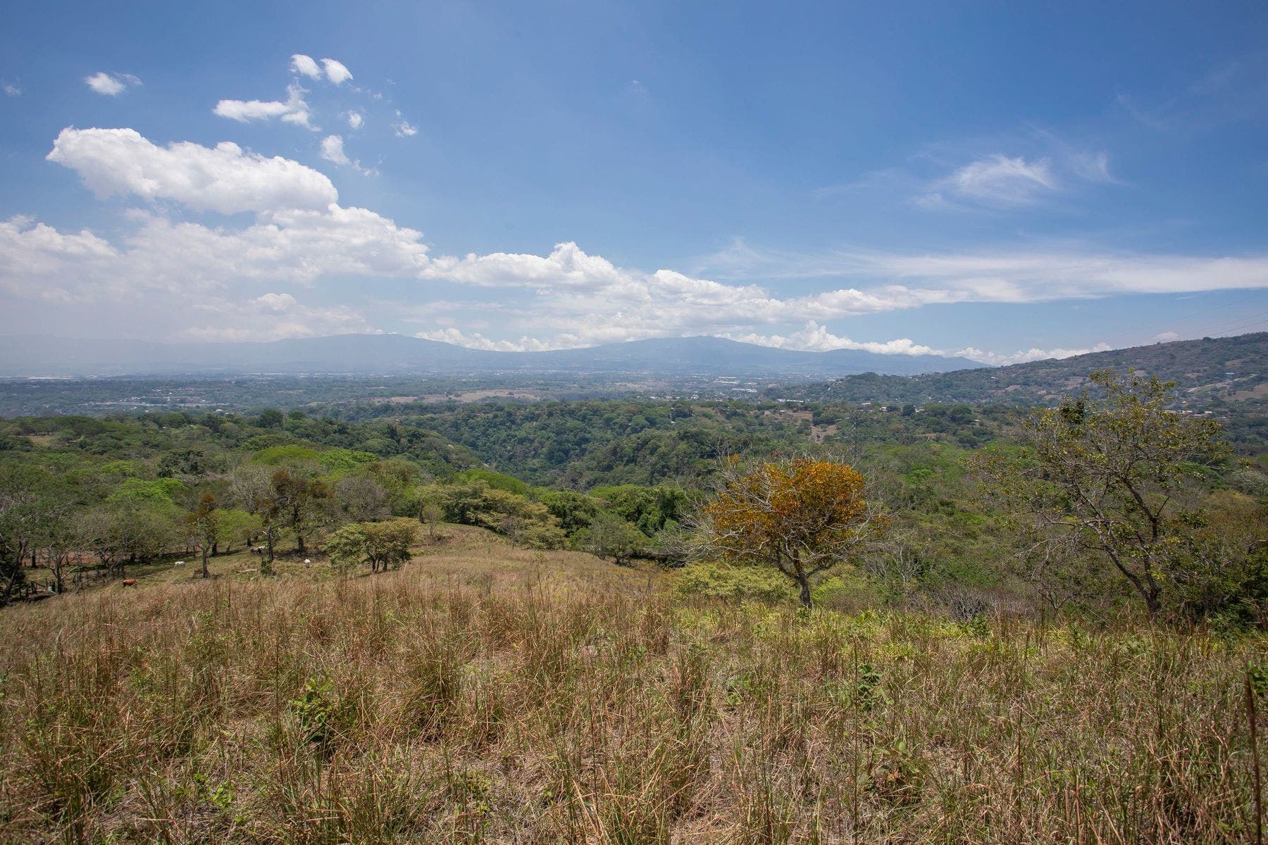 Vista Del Valle — photo 12 of 16
