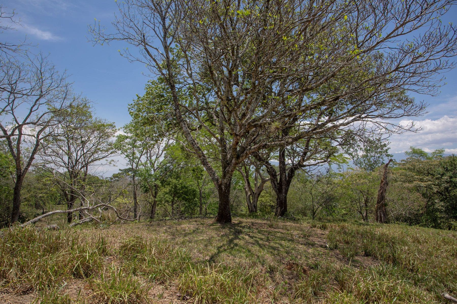 Vista Del Valle — photo 16 of 16