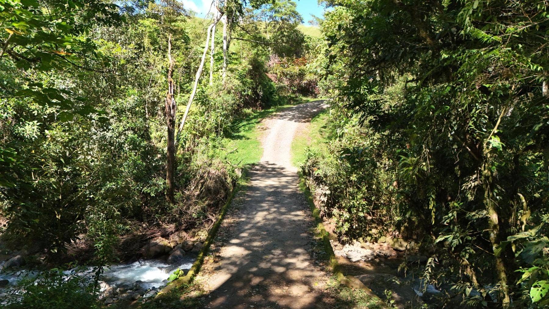Jewel of Perez Zeledon — photo 7 of 19