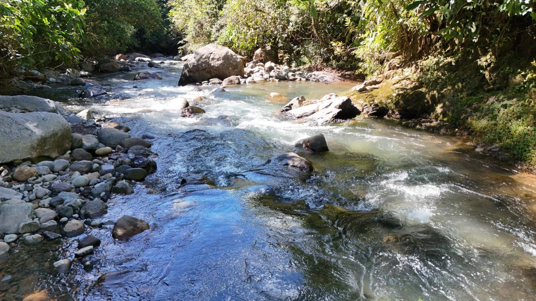 Jewel of Perez Zeledon — photo 10 of 19