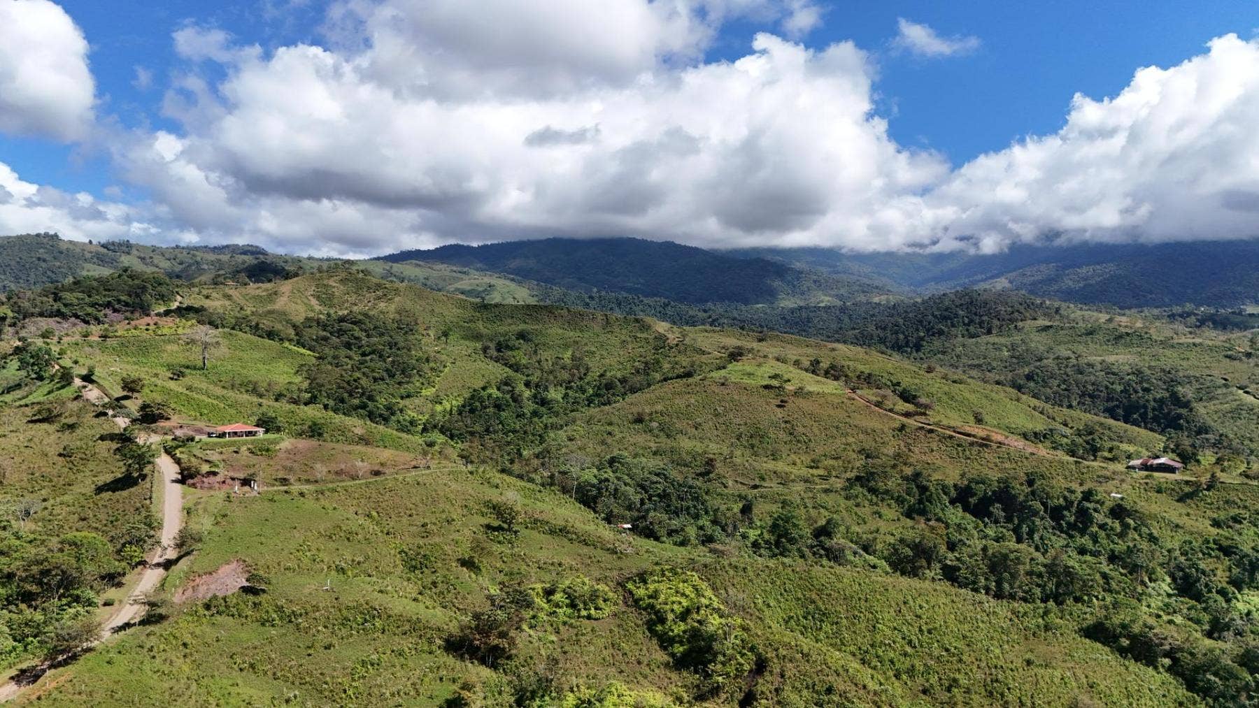 Jewel of Perez Zeledon — photo 15 of 19