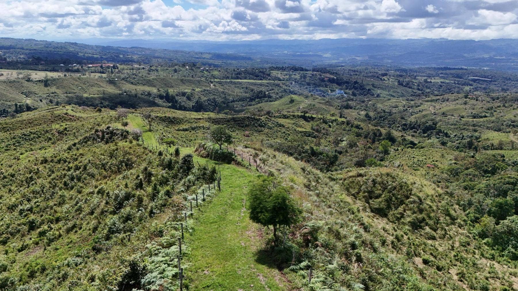 Jewel of Perez Zeledon — photo 4 of 19