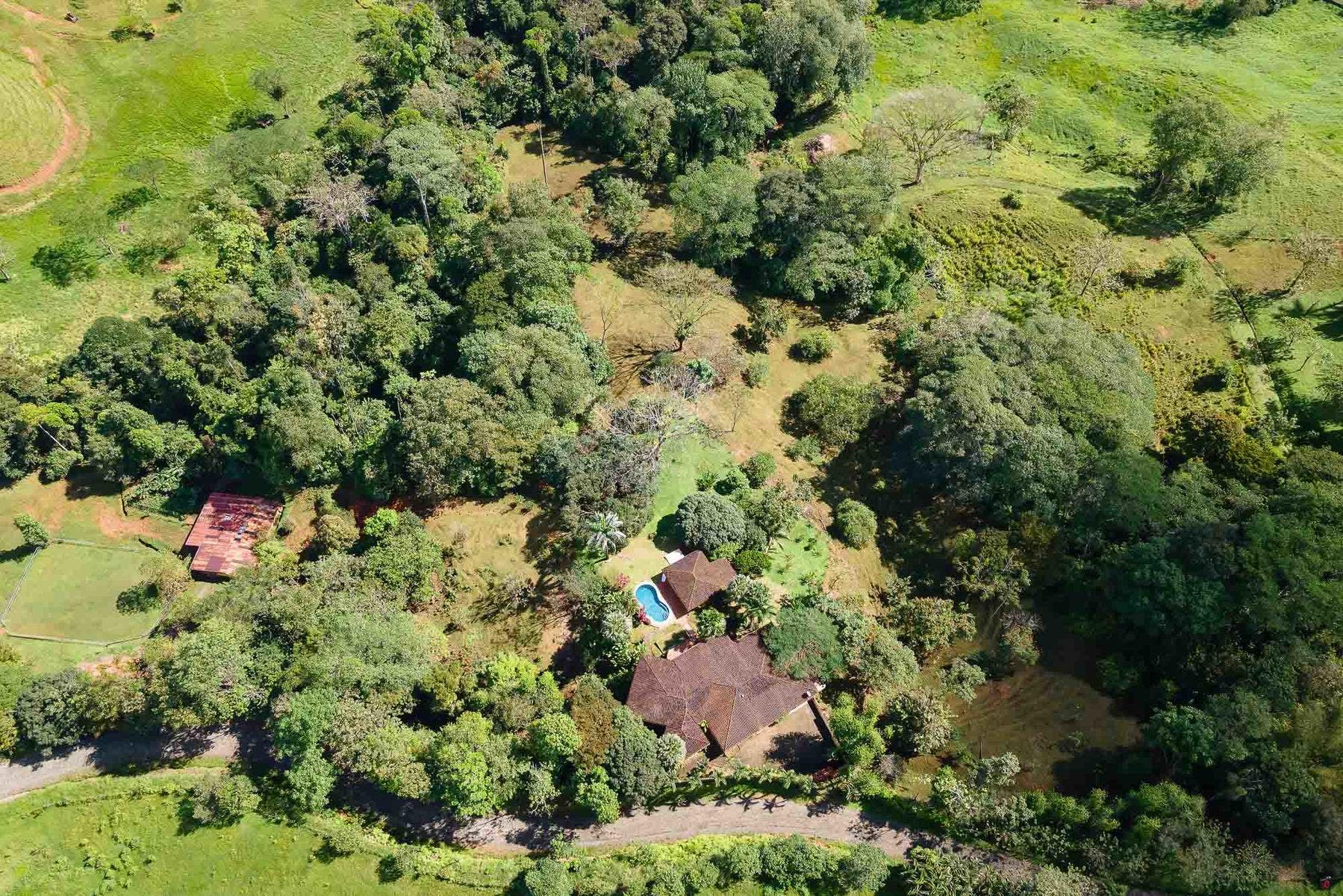 Luxury Nature Estate in Naranjito — photo 18 of 19