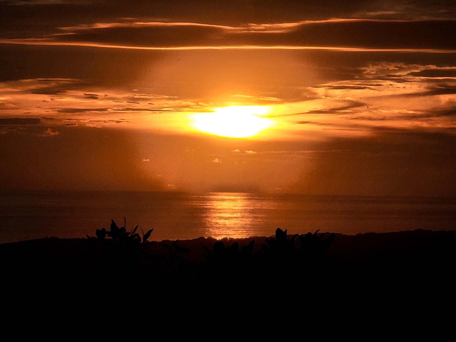 Panoramic Ocean and Sunset View Property — photo 3 of 19