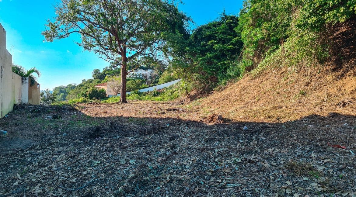 Flamingo Oceanfront North Ridge Lot — photo 3 of 6