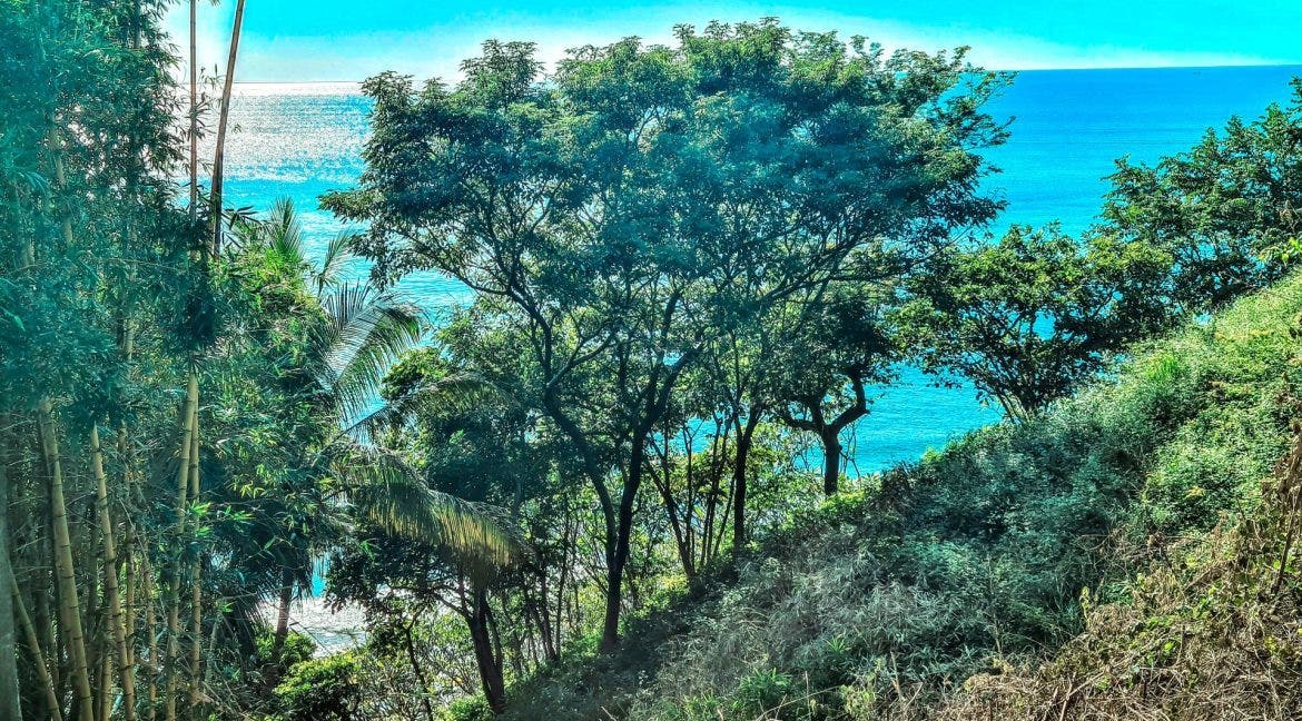 Flamingo Oceanfront North Ridge Lot — photo 5 of 6