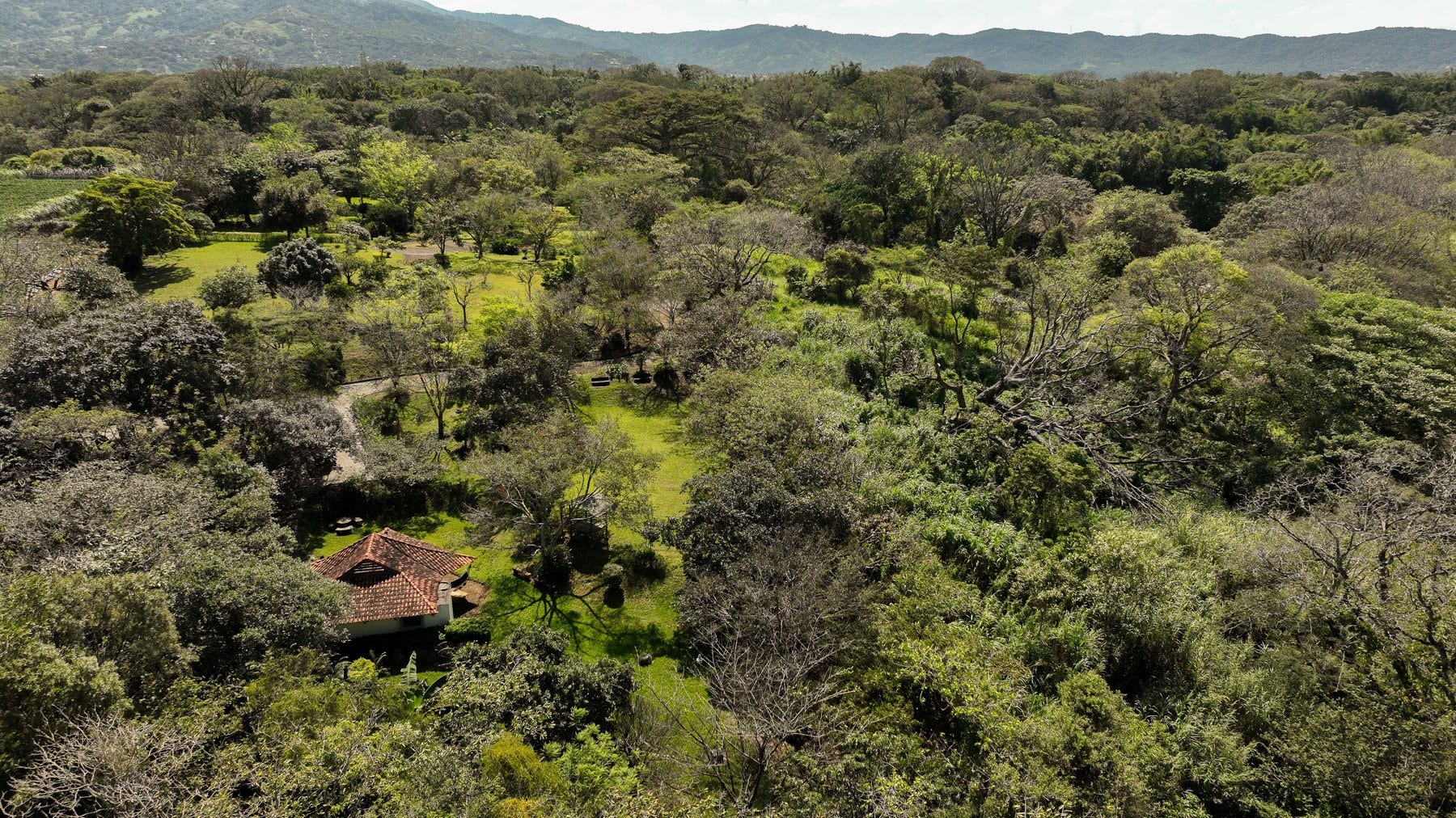 Prime Development Land for Sale La Guacima — photo 3 of 19