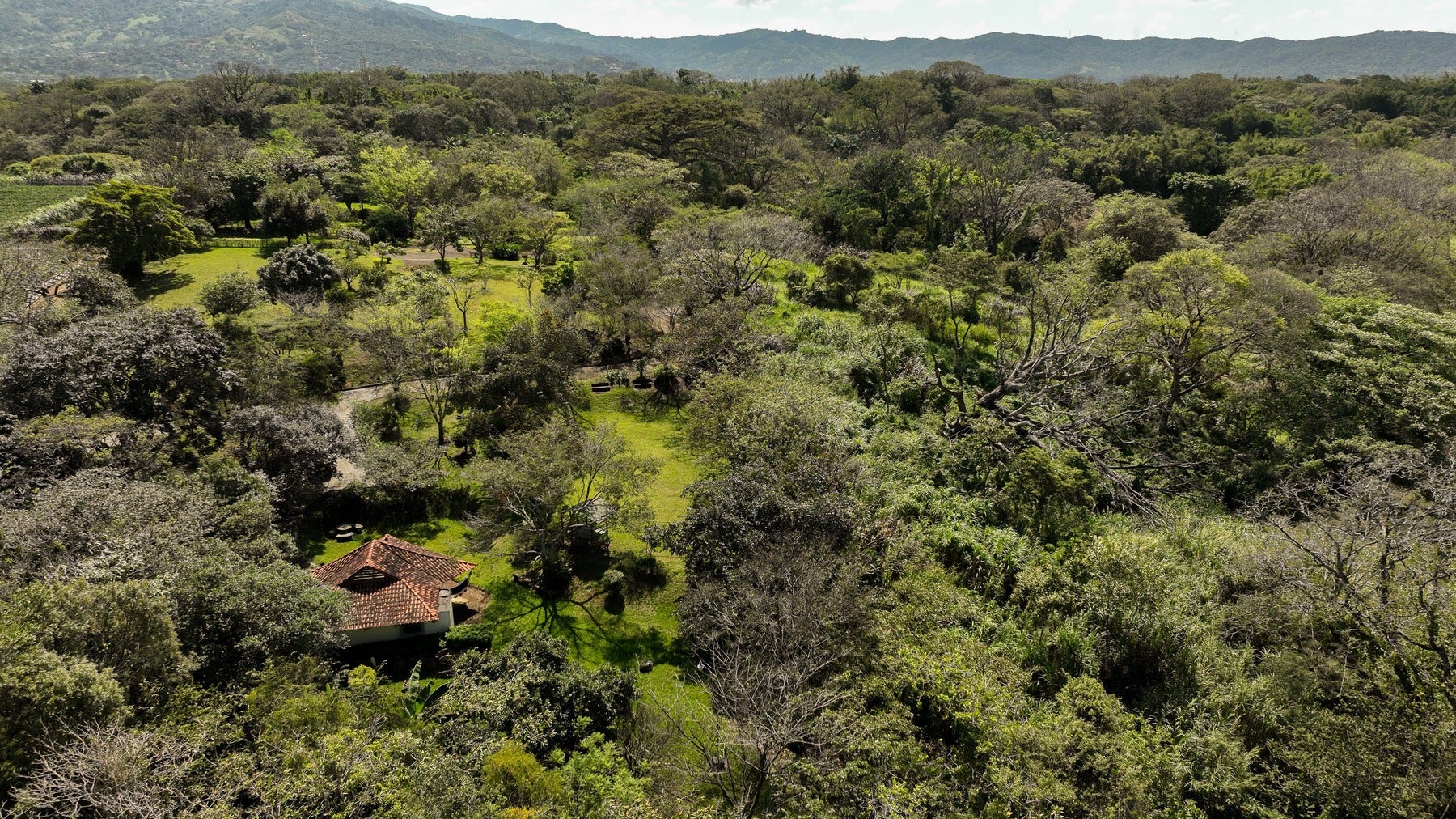 Prime Development Land for Sale La Guacima — photo 4 of 19