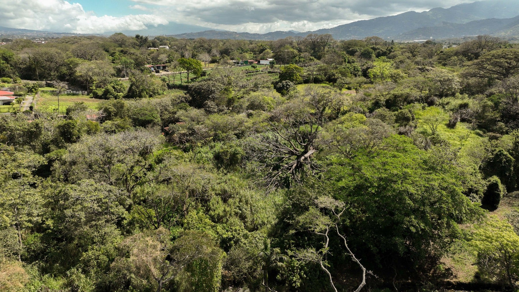 Prime Development Land for Sale La Guacima — photo 5 of 19