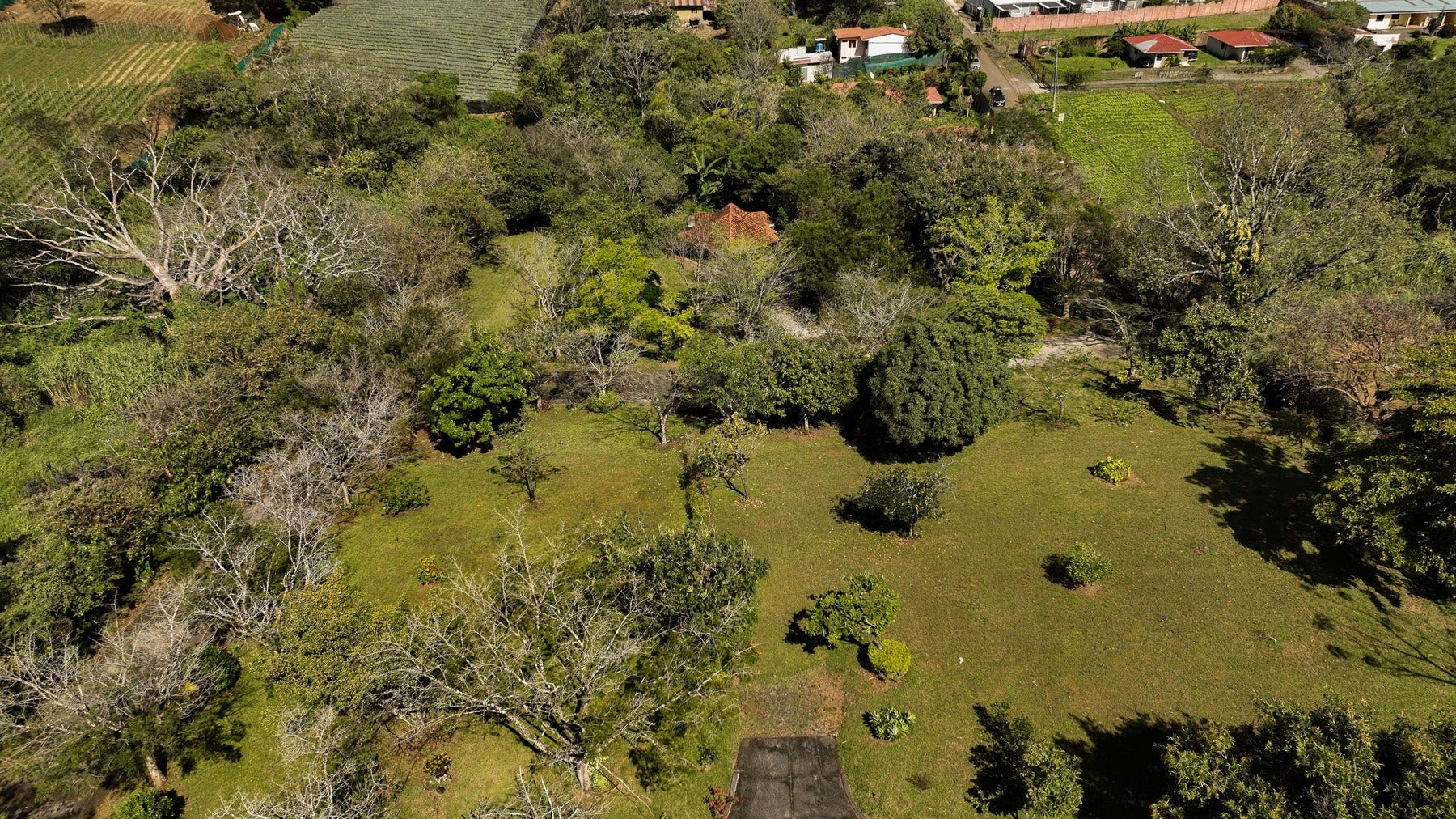 Prime Development Land for Sale La Guacima — photo 7 of 19