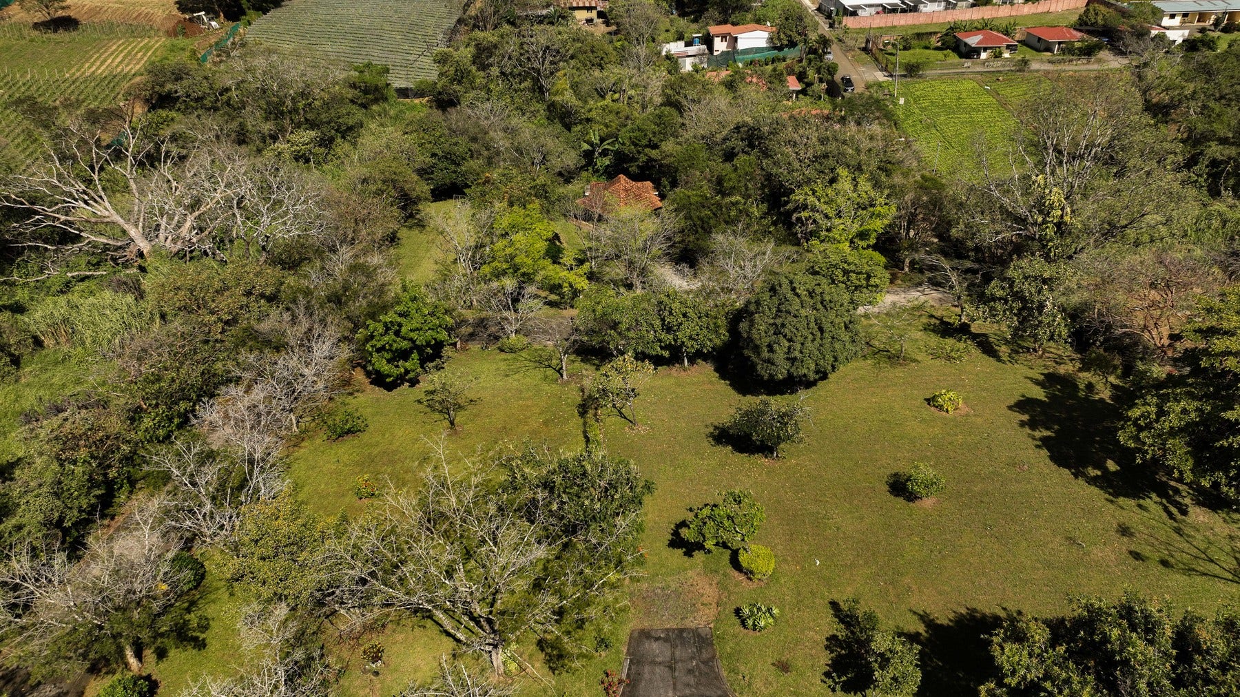 Prime Development Land for Sale La Guacima — photo 8 of 19