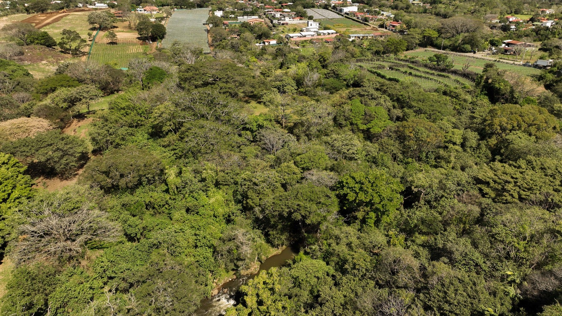 Prime Development Land for Sale La Guacima — photo 9 of 19