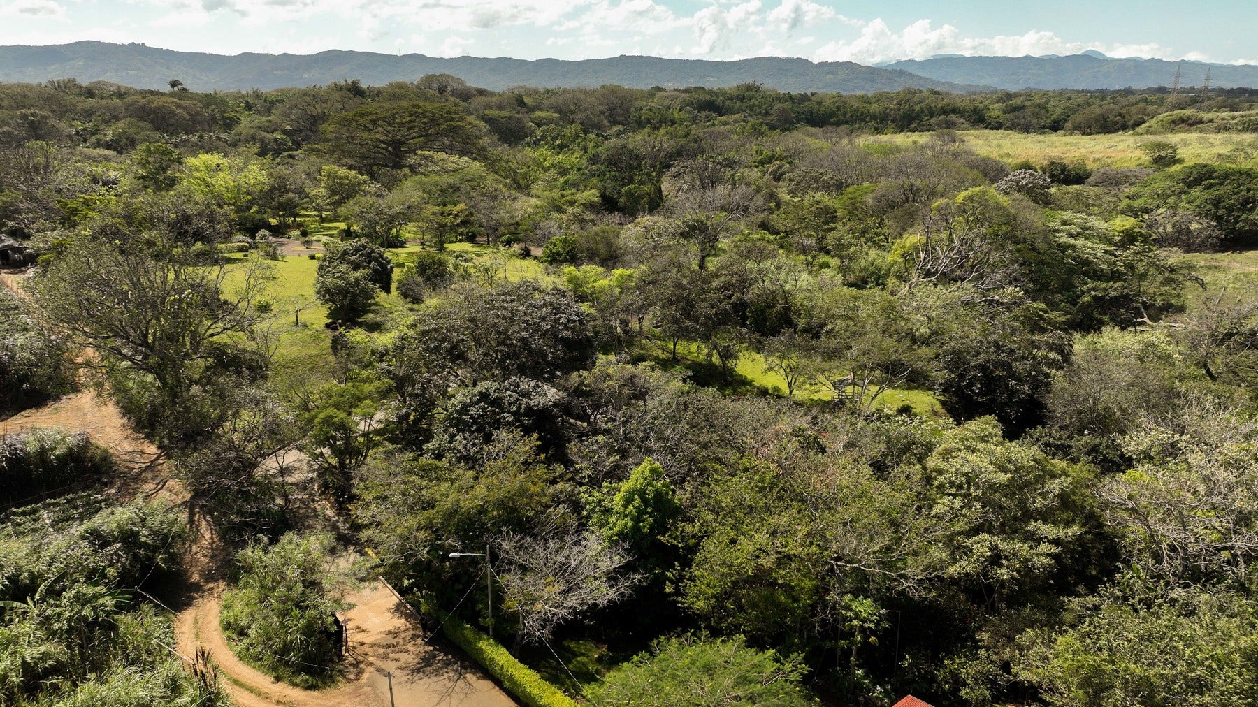 Prime Development Land for Sale La Guacima — photo 11 of 19