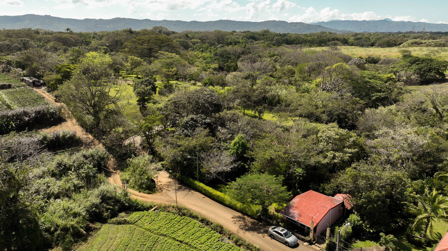 Prime Development Land for Sale La Guacima — photo 12 of 19