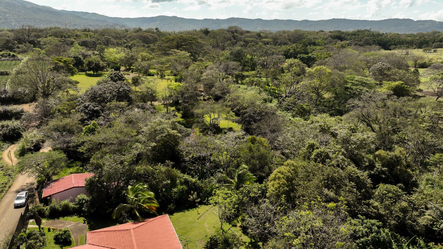 Prime Development Land for Sale La Guacima — photo 13 of 19