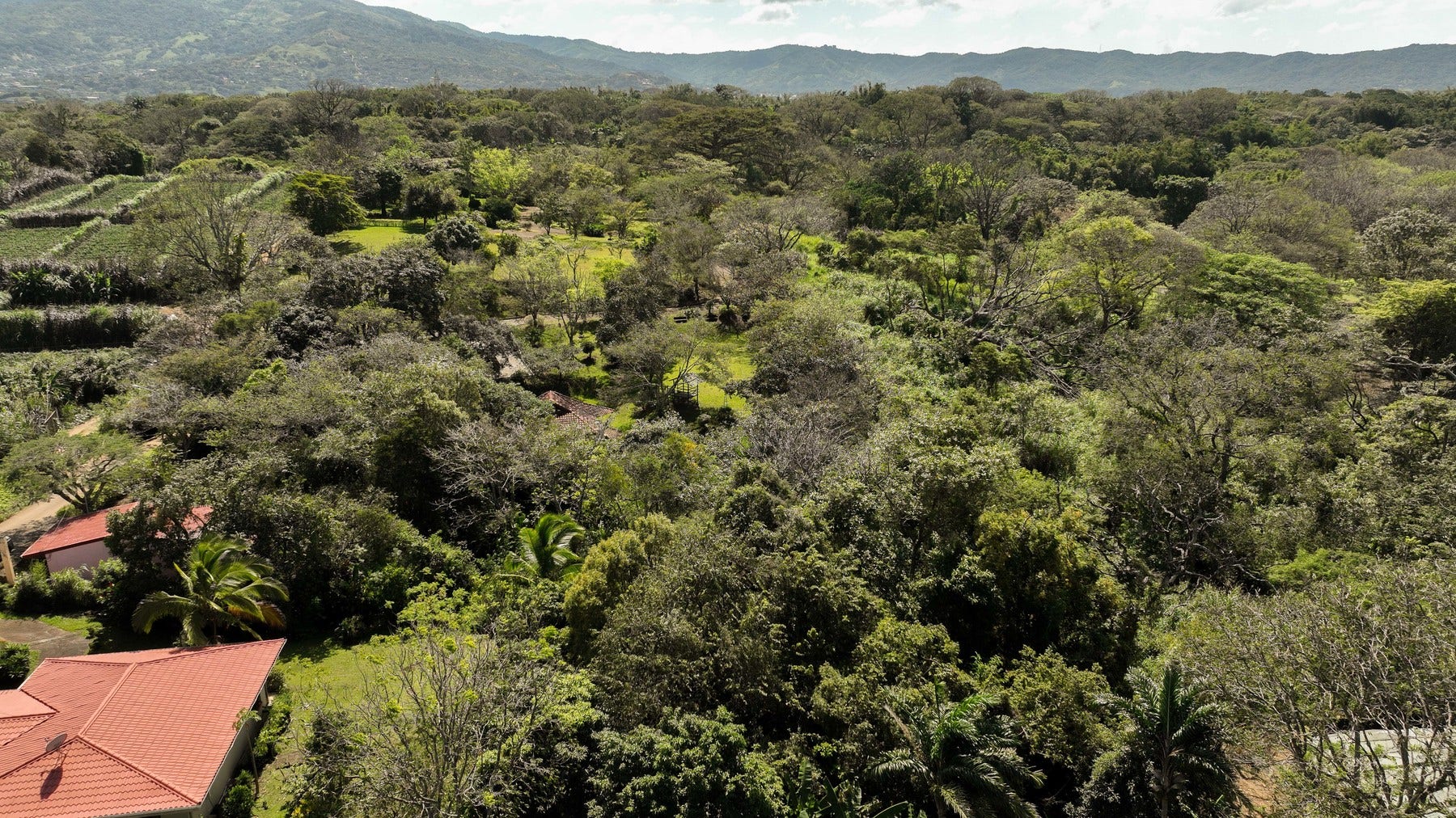 Prime Development Land for Sale La Guacima — photo 14 of 19