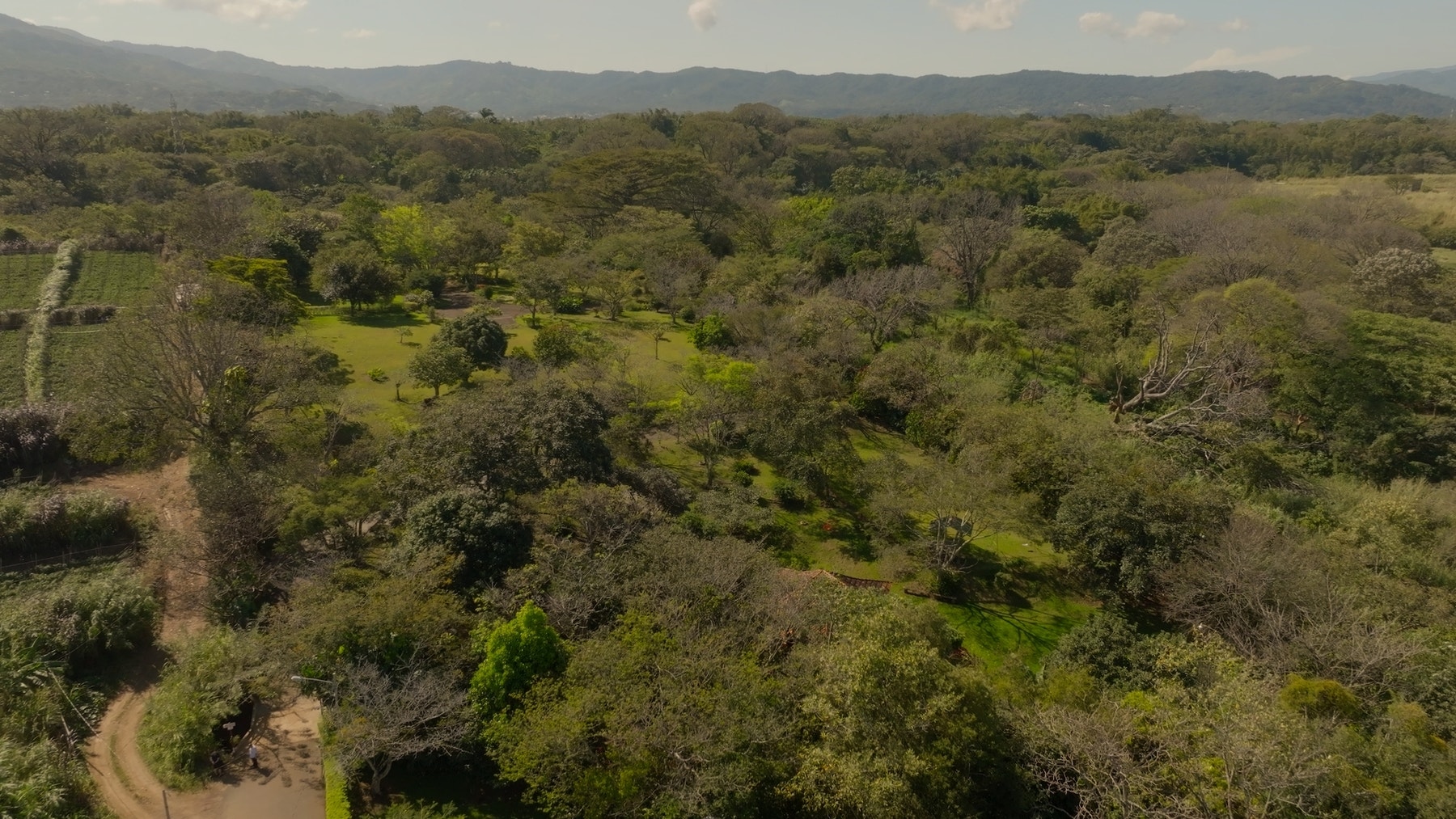 Prime Development Land for Sale La Guacima — photo 15 of 19