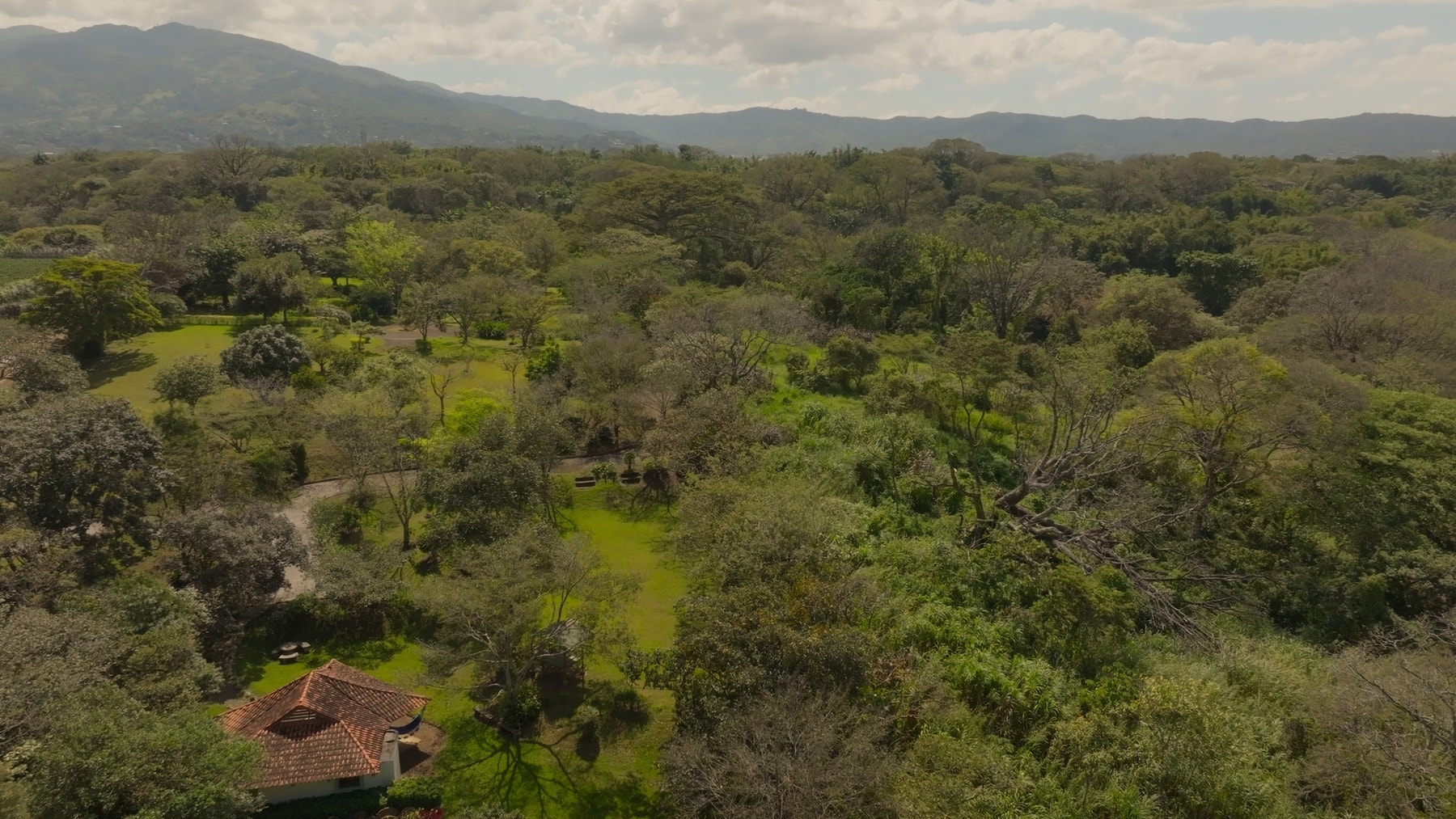 Prime Development Land for Sale La Guacima — photo 17 of 19