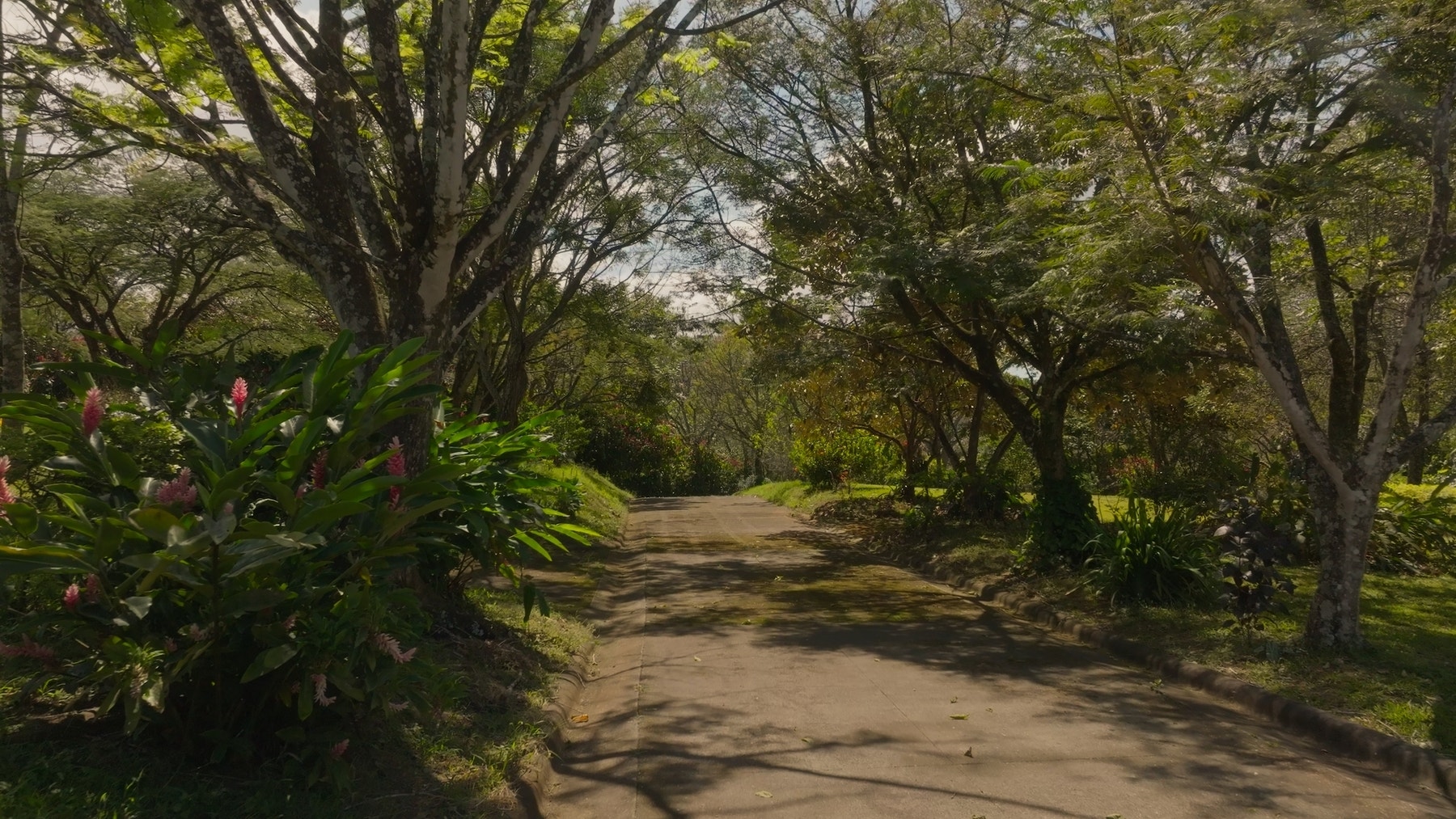 Prime Development Land for Sale La Guacima — photo 16 of 19