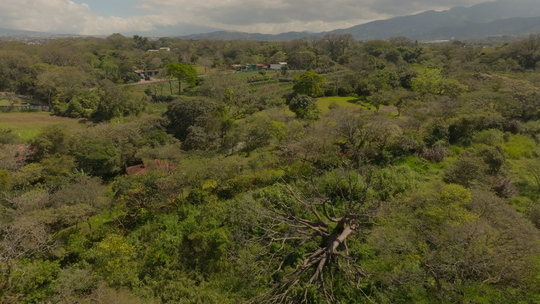 Prime Development Land for Sale La Guacima — photo 18 of 19