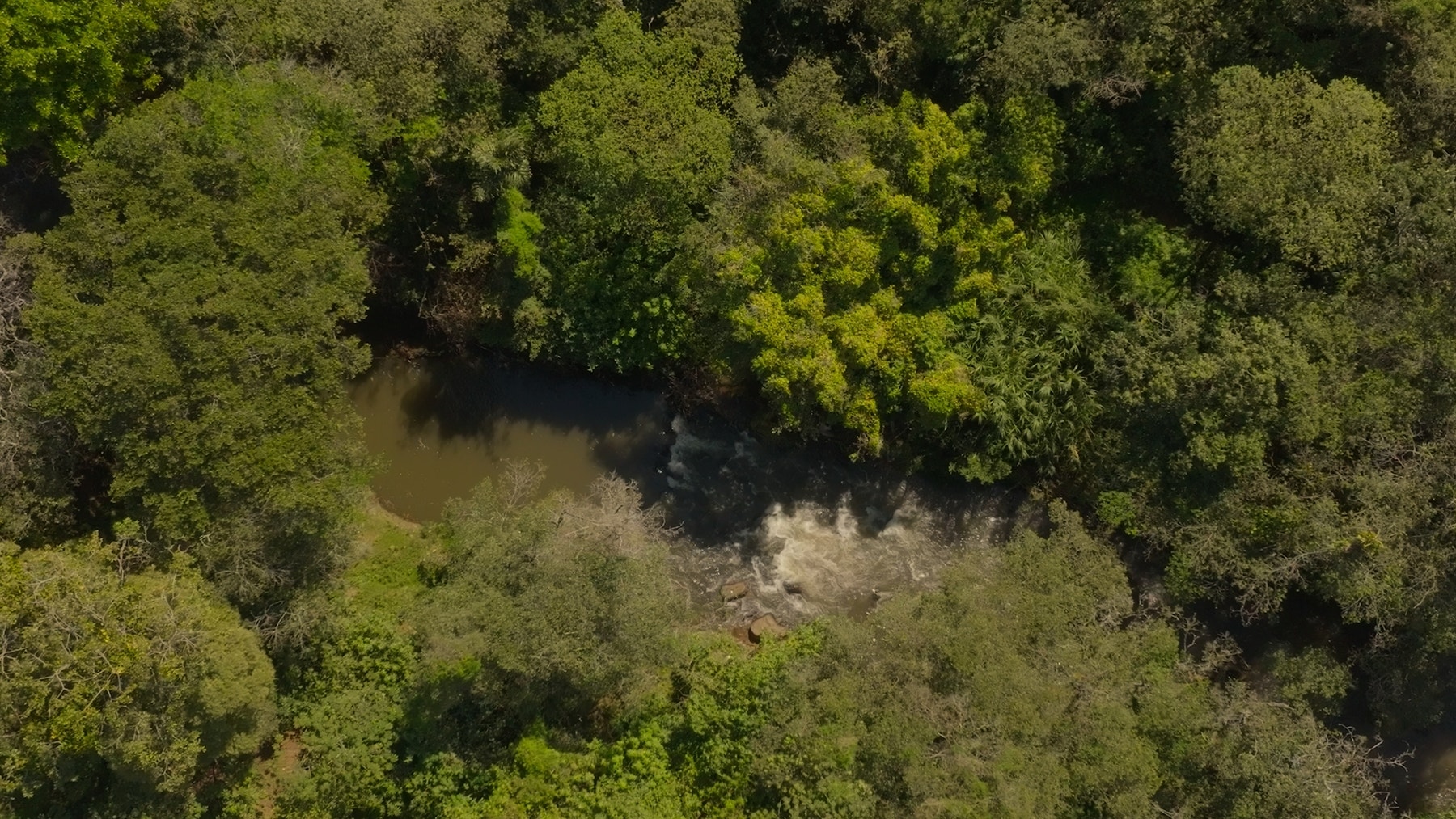 Prime Development Land for Sale La Guacima — photo 19 of 19