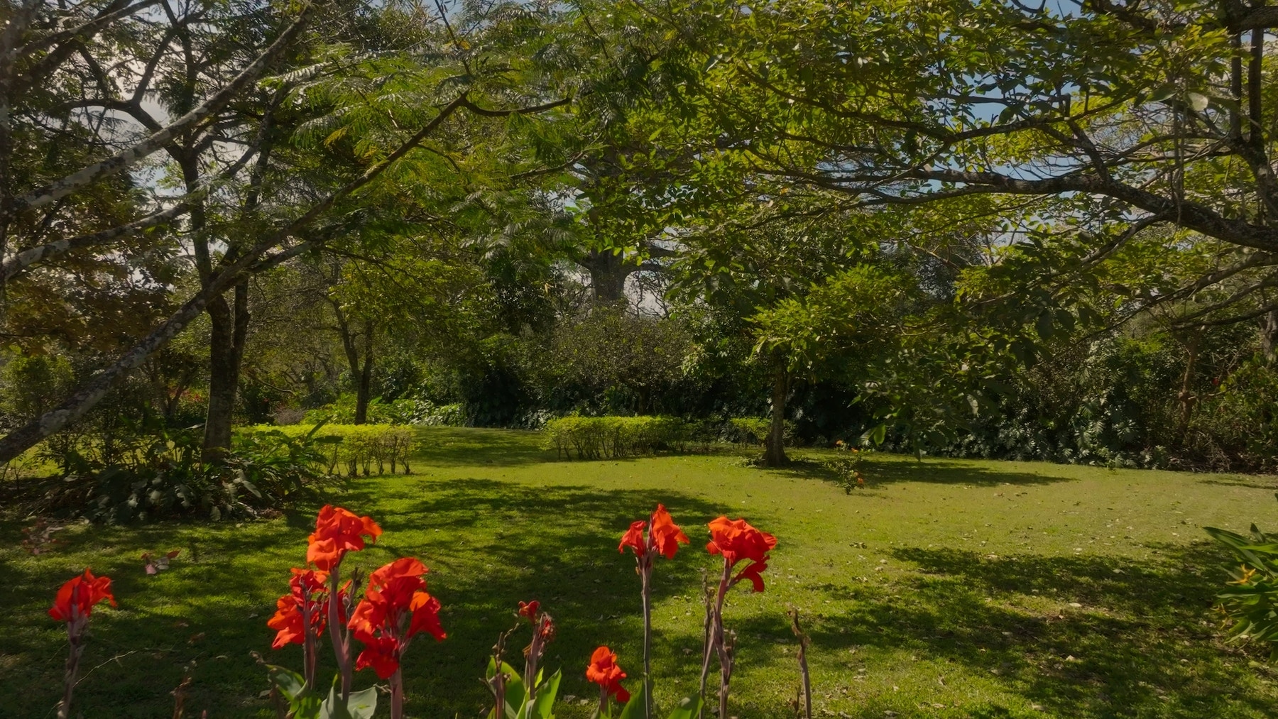 Prime Development Land for Sale La Guacima, La Guacima, La Guacima, Alajuela, Alajuela, Costa Rica 20105 Prime Development Land for Sale La Guacima, La Guacima, La Guacima, Alajuela, Alajuela, Costa Rica 20105