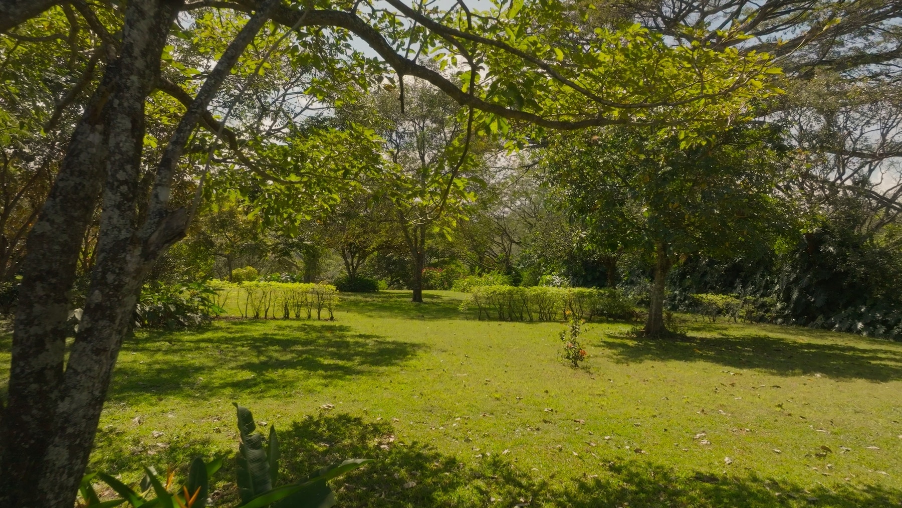 Prime Development Land for Sale La Guacima, La Guacima, La Guacima, Alajuela, Alajuela, Costa Rica 20105 Prime Development Land for Sale La Guacima, La Guacima, La Guacima, Alajuela, Alajuela, Costa Rica 20105