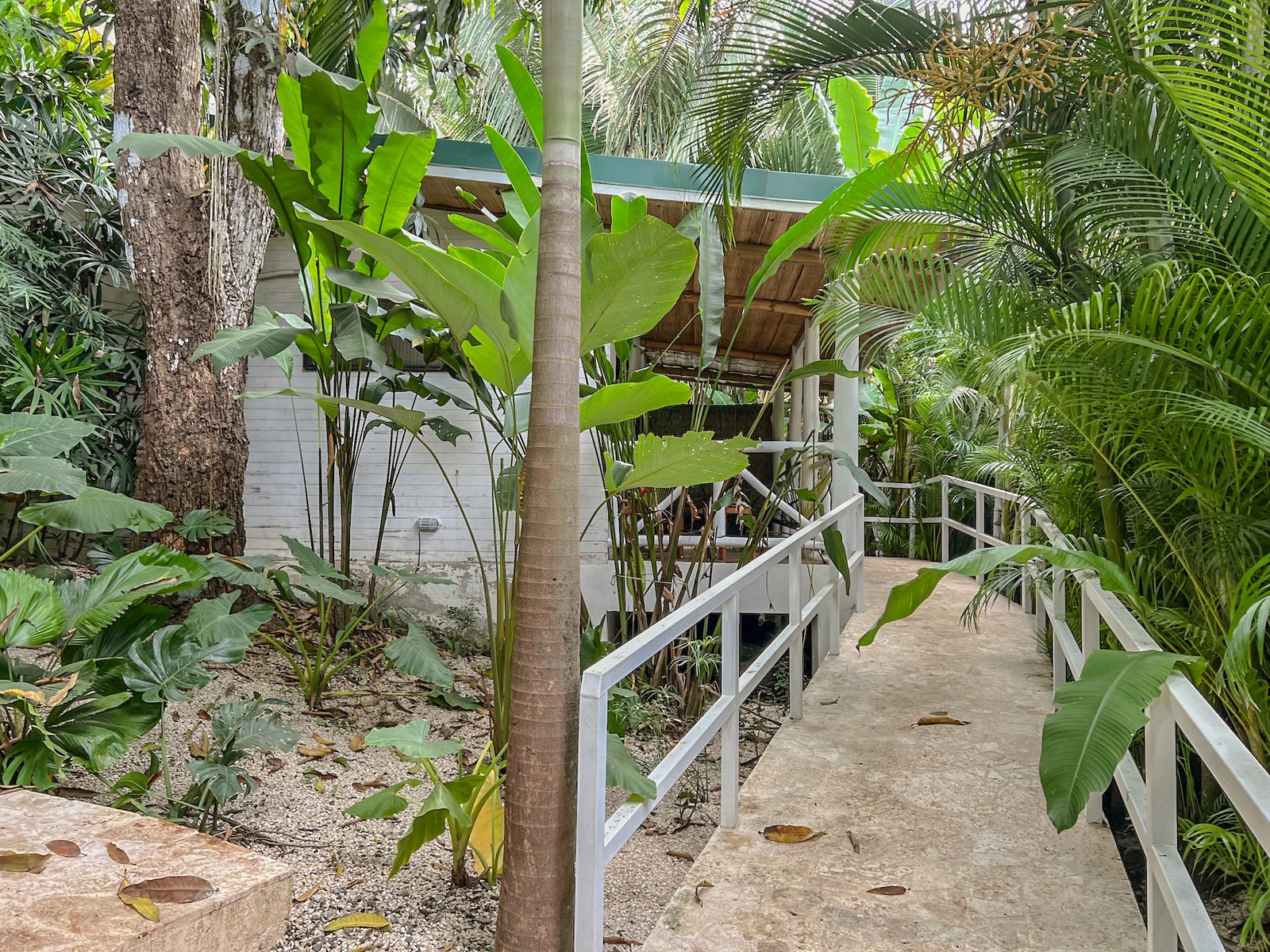North Santa Teresa One Bedroom Home plus 2 Rentals — photo 18 of 19