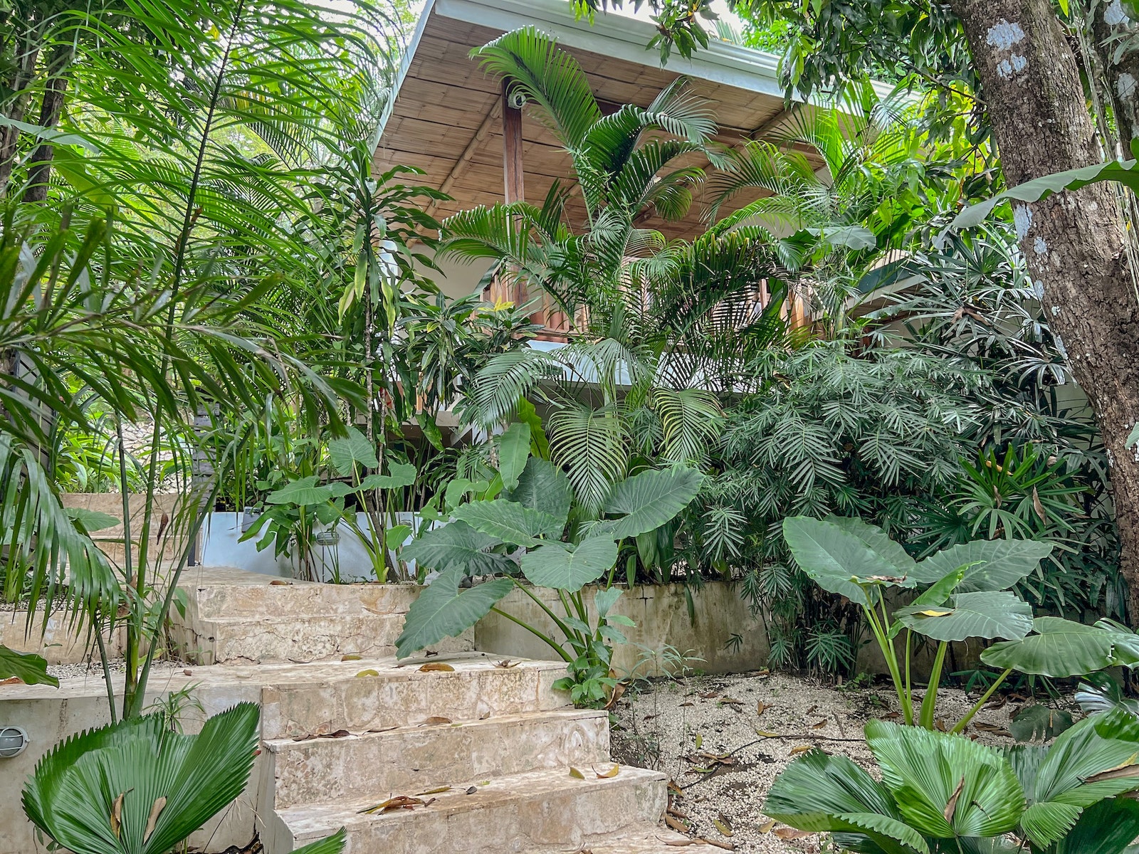 North Santa Teresa One Bedroom Home plus 2 Rentals — photo 16 of 19