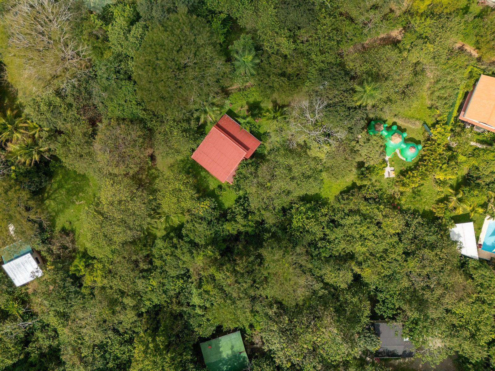 Beautiful Jungle Property with Two Houses — photo 3 of 19