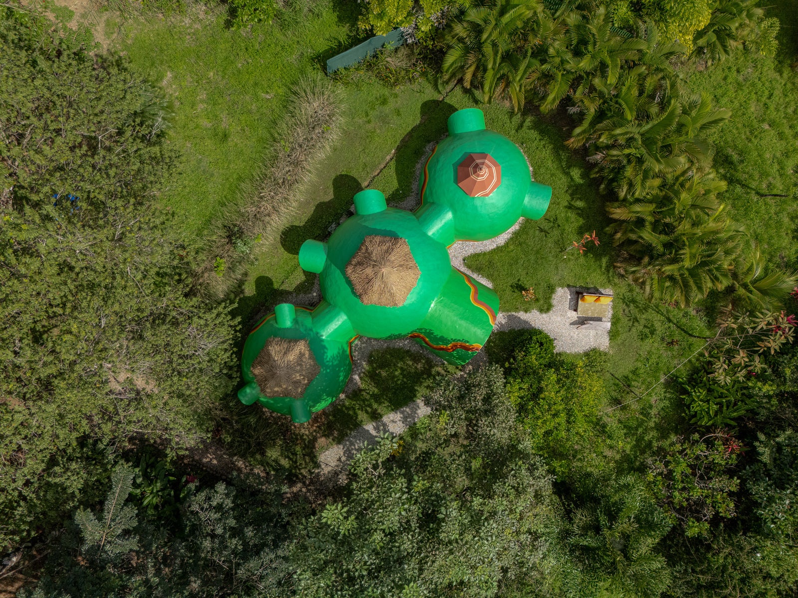 Beautiful Jungle Property with Two Houses — photo 5 of 19