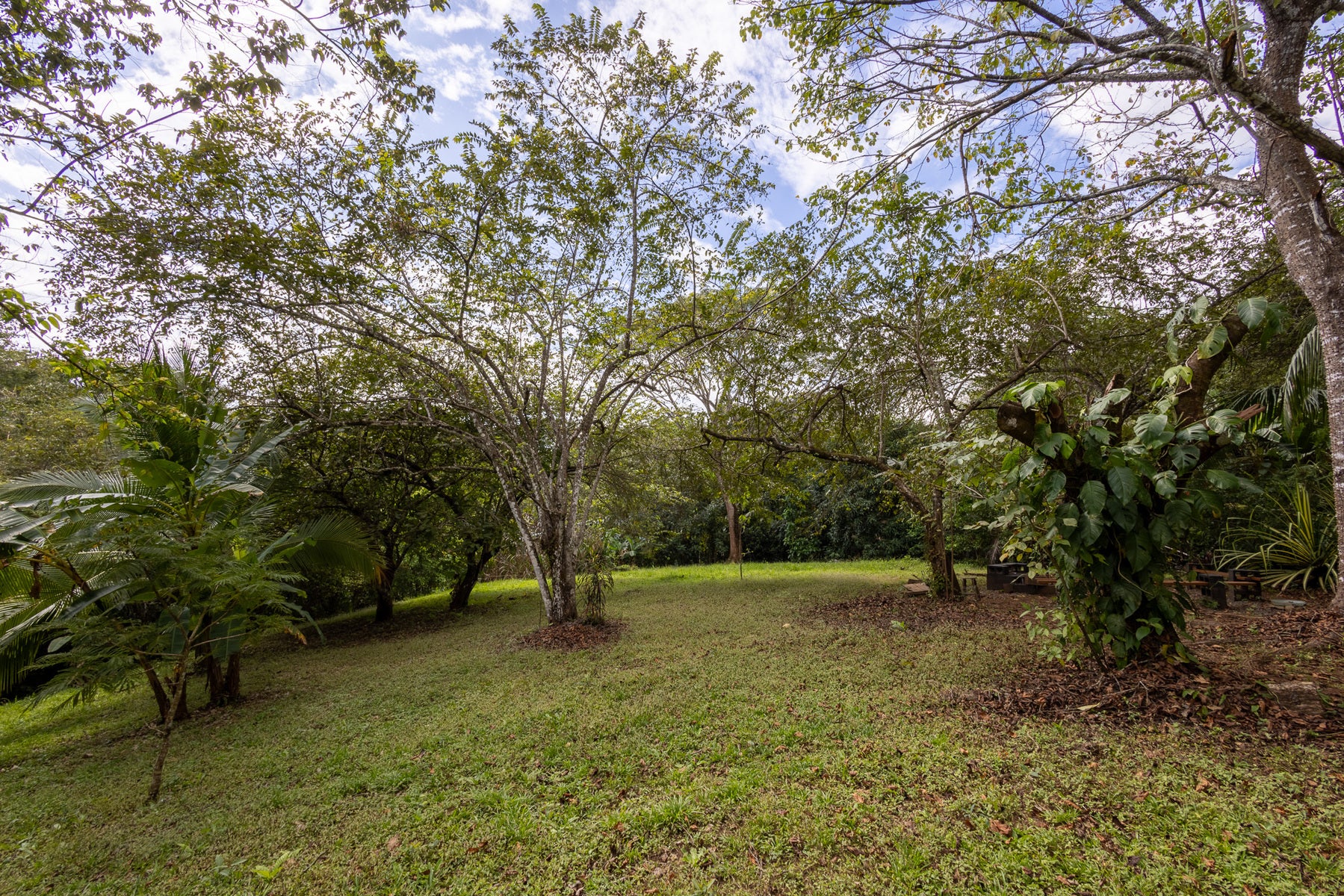 Beautiful Jungle Property with Two Houses, Montezuma, Cobano, Puntarenas, Puntarenas, Costa Rica 60111 Beautiful Jungle Property with Two Houses, Montezuma, Cobano, Puntarenas, Puntarenas, Costa Rica 60111