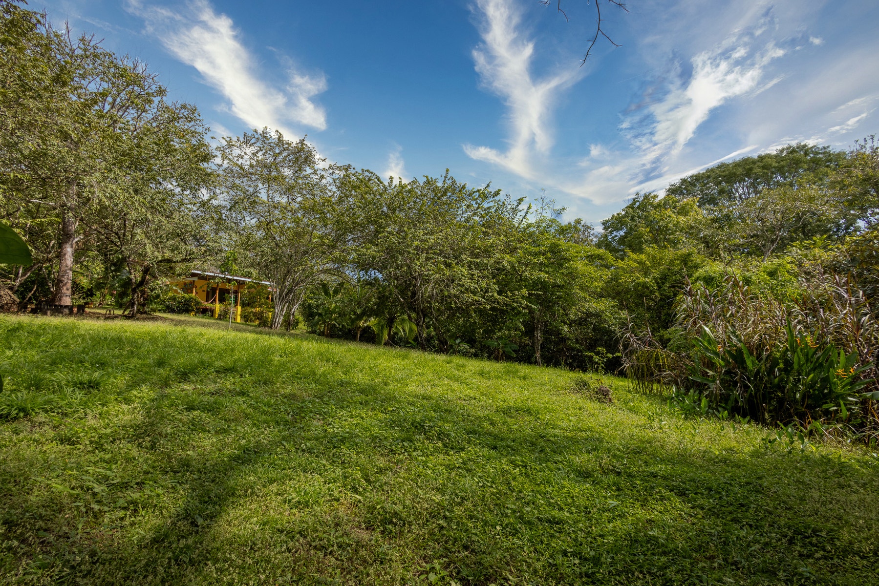 Beautiful Jungle Property with Two Houses, Montezuma, Cobano, Puntarenas, Puntarenas, Costa Rica 60111 Beautiful Jungle Property with Two Houses, Montezuma, Cobano, Puntarenas, Puntarenas, Costa Rica 60111