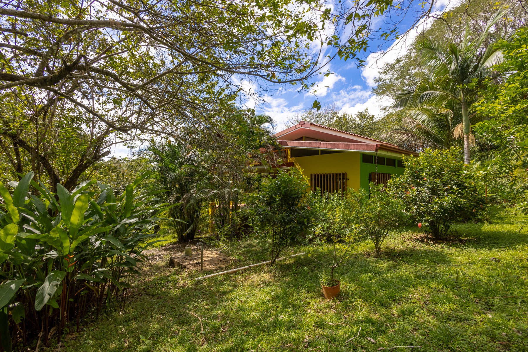 Beautiful Jungle Property with Two Houses, Montezuma, Cobano, Puntarenas, Puntarenas, Costa Rica 60111 Beautiful Jungle Property with Two Houses, Montezuma, Cobano, Puntarenas, Puntarenas, Costa Rica 60111