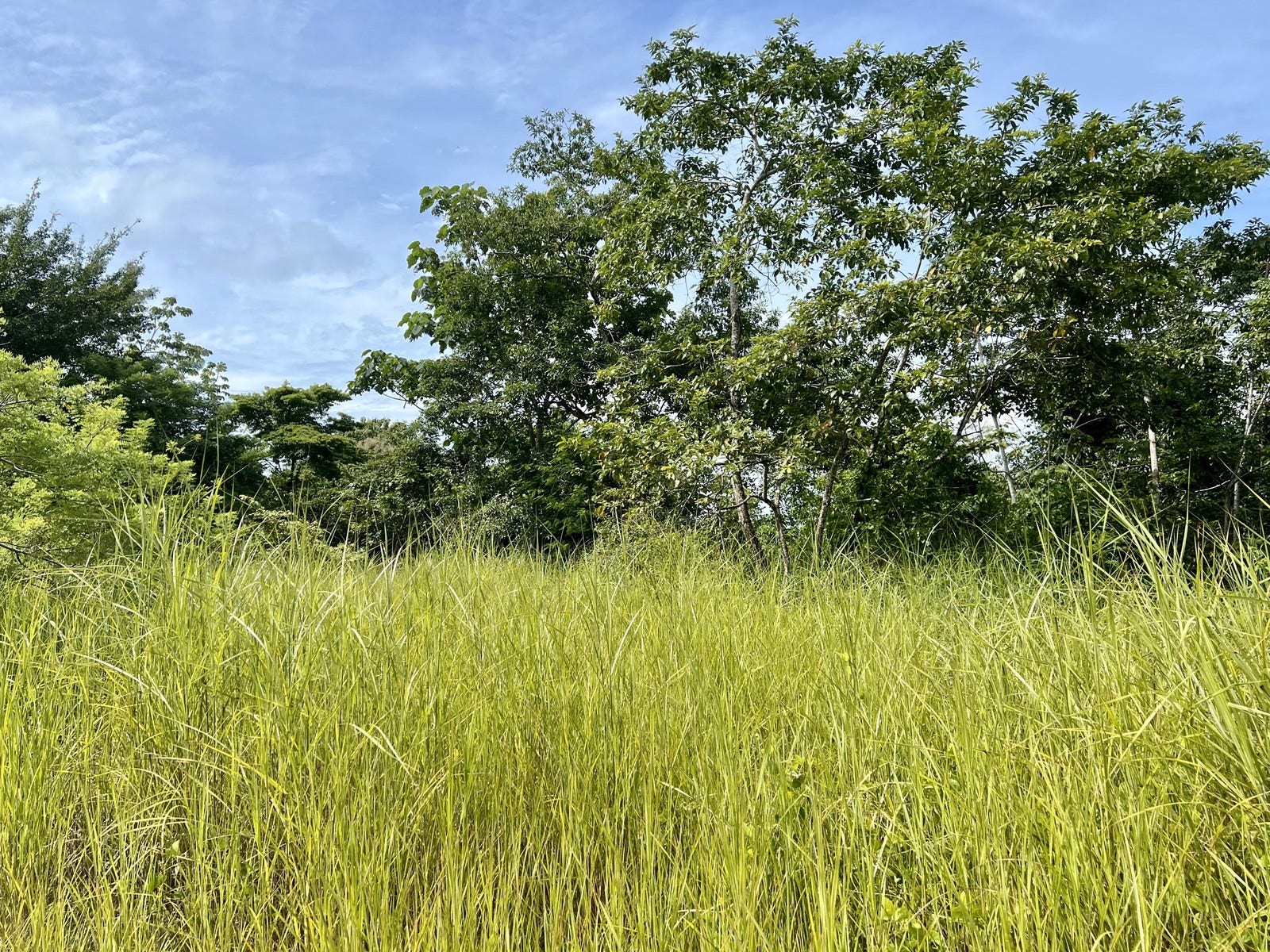 Private Ocean View Lot — photo 2 of 7