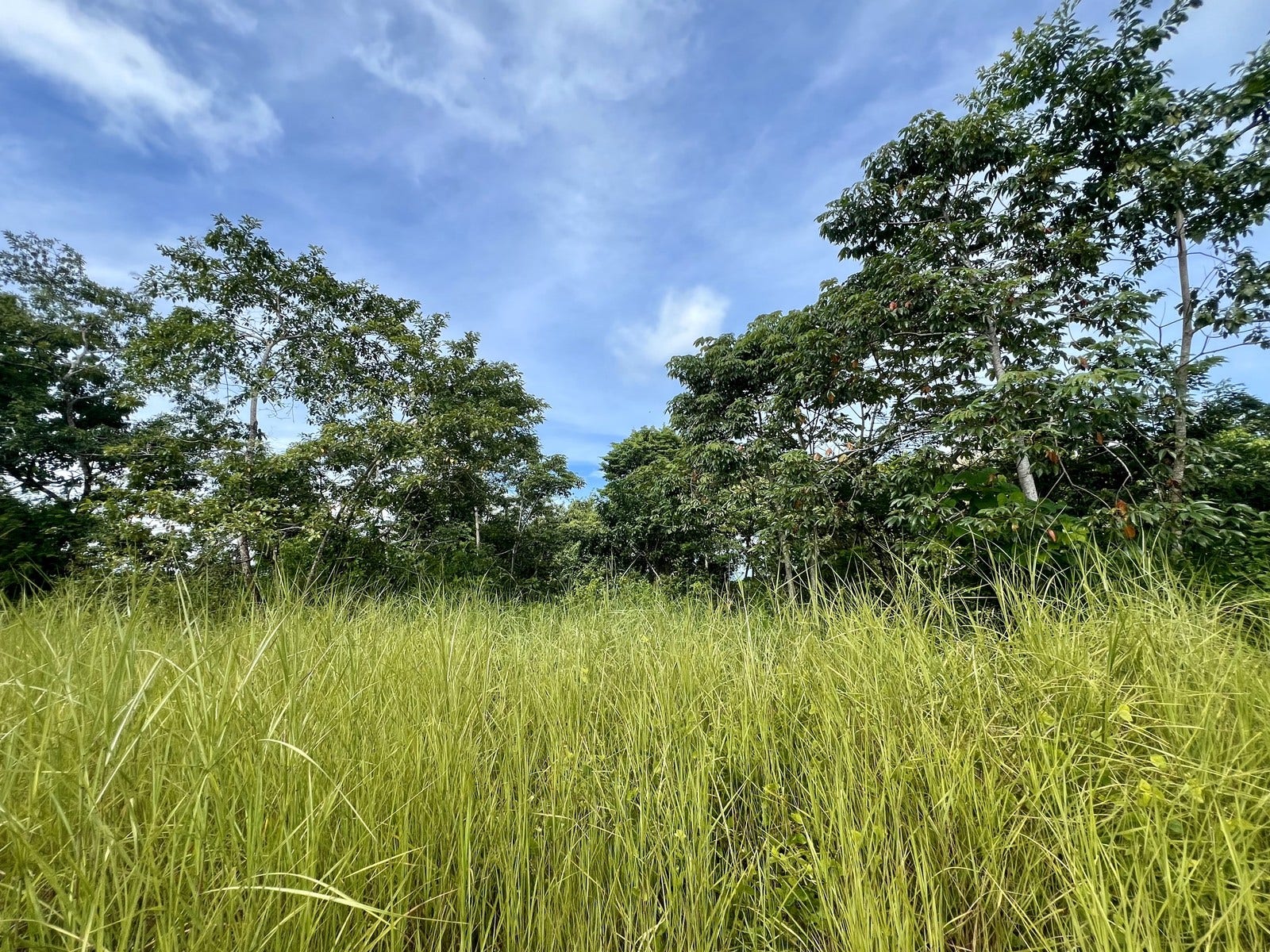 Private Ocean View Lot — photo 4 of 7