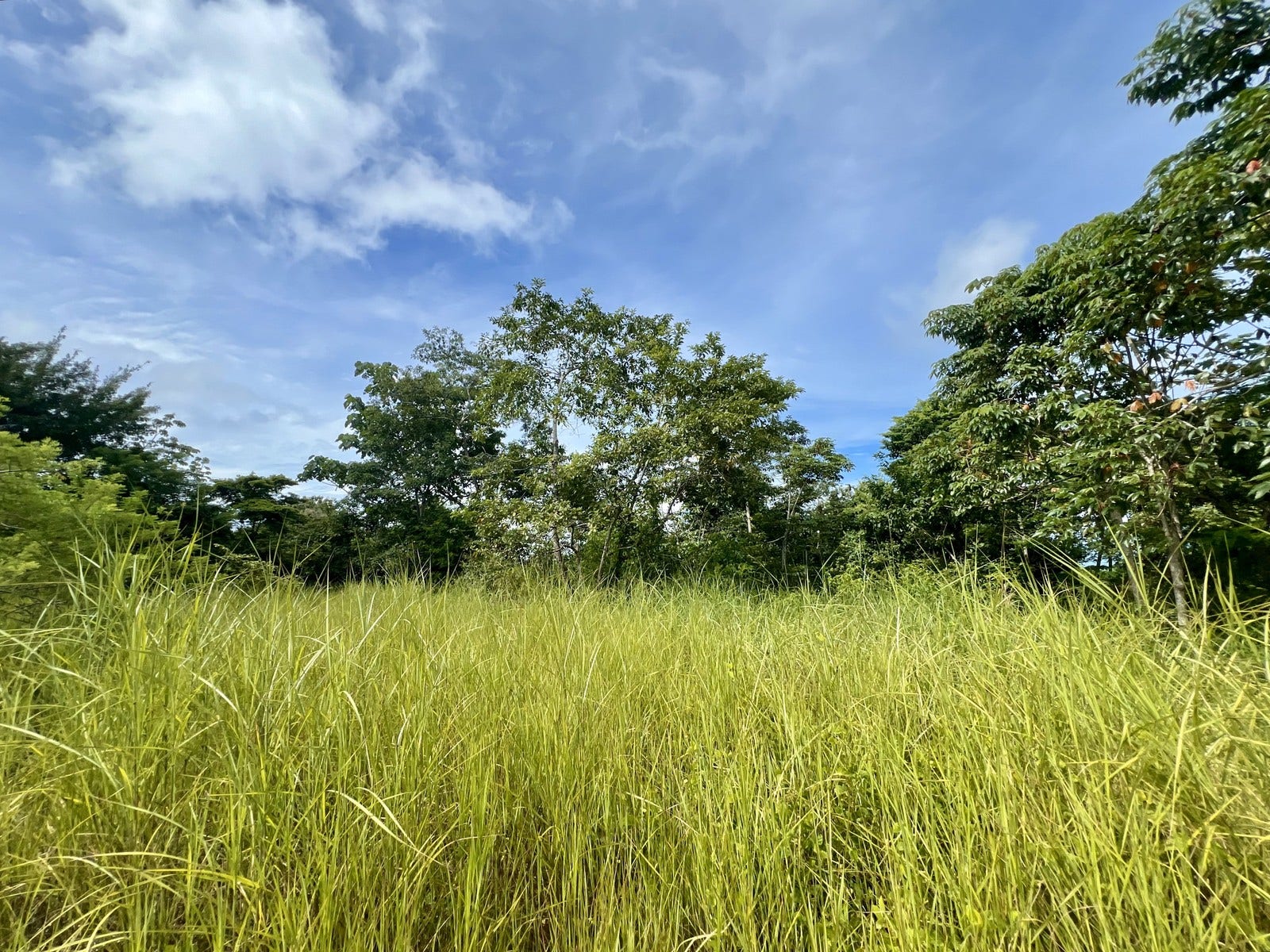 Private Ocean View Lot — photo 5 of 7