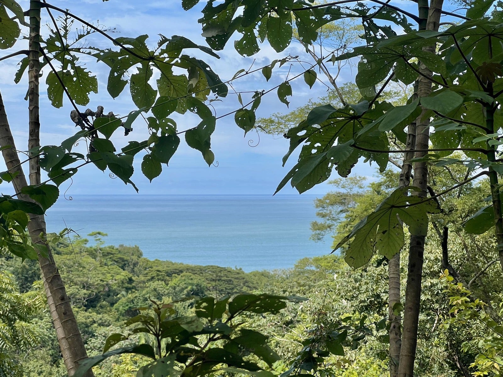 Private Ocean View Lot, Santiago, Santa Teresa, Cobano, Puntarenas, Puntarenas, Costa Rica 60111