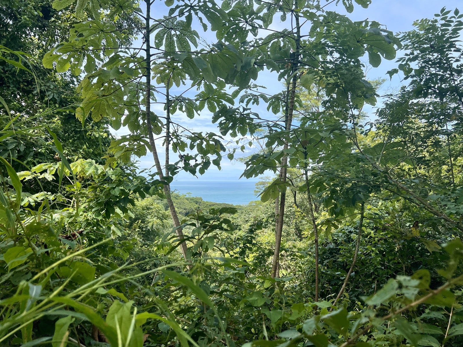 Private Ocean View Lot — photo 6 of 7