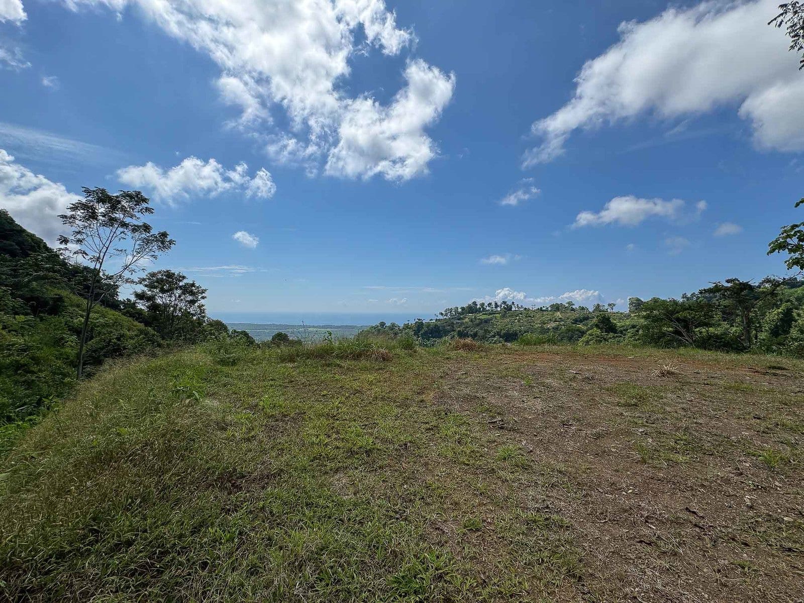 Ocean View Parcels — photo 9 of 18