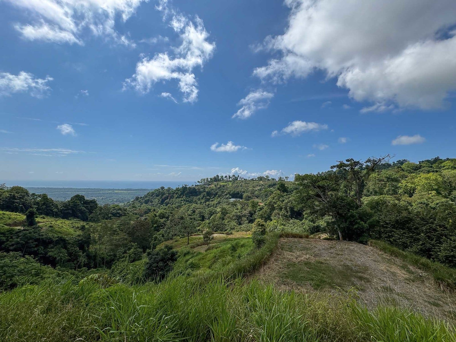 Ocean View Parcels — photo 7 of 18