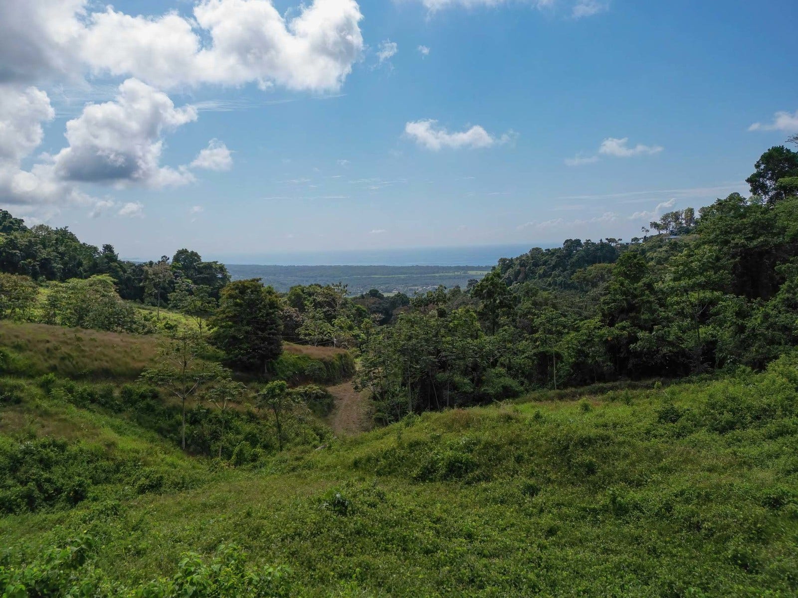 Ocean View Parcels — photo 16 of 18