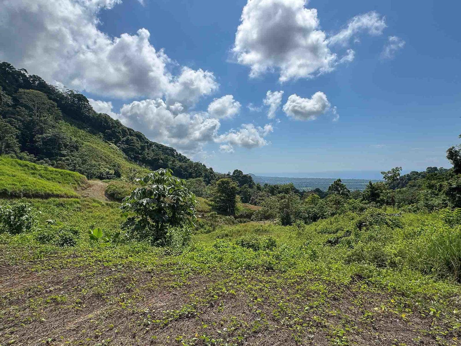 Ocean View Parcels — photo 17 of 18