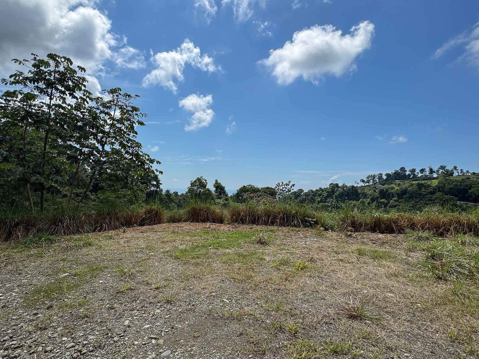 Ocean View Parcels — photo 18 of 18
